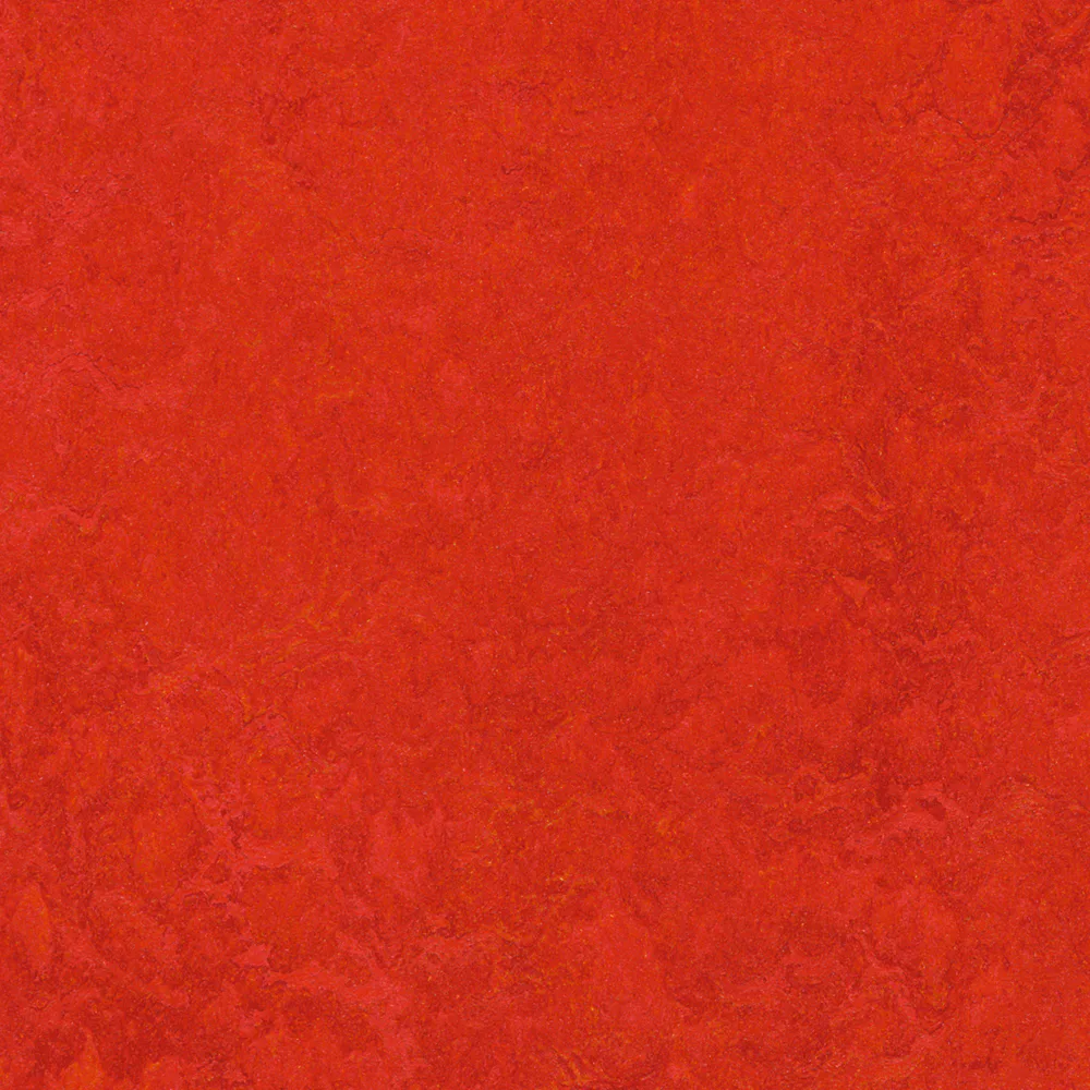 Linoleumgolv Forbo Marmoleum Click Scarlet 30x30cm med Klicksystem