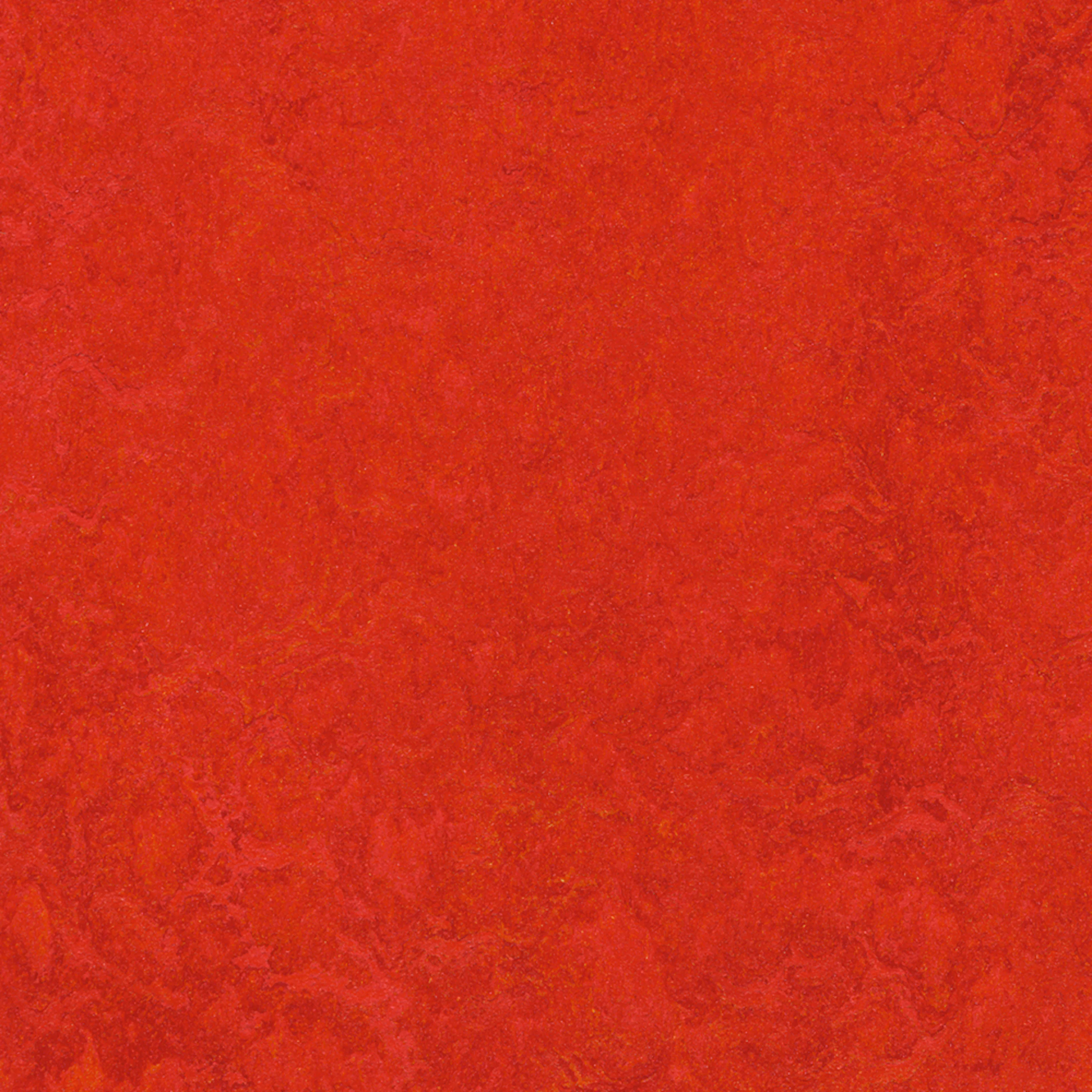 Linoleumgolv Forbo Marmoleum Click Scarlet 30x30cm med Klicksystem