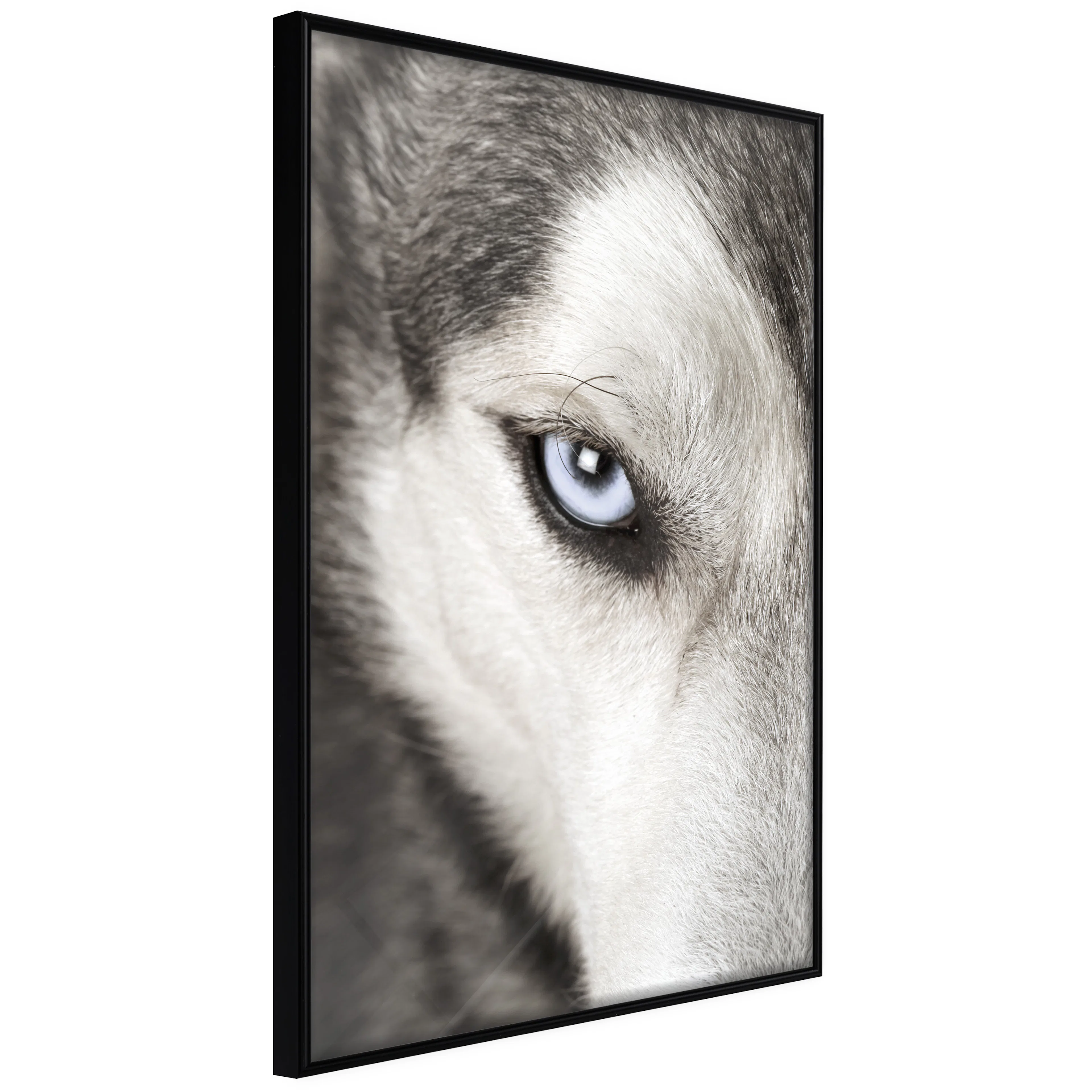 Affisch - Dog's Look [Poster] 40x60 Svart ram, 40x60 cm