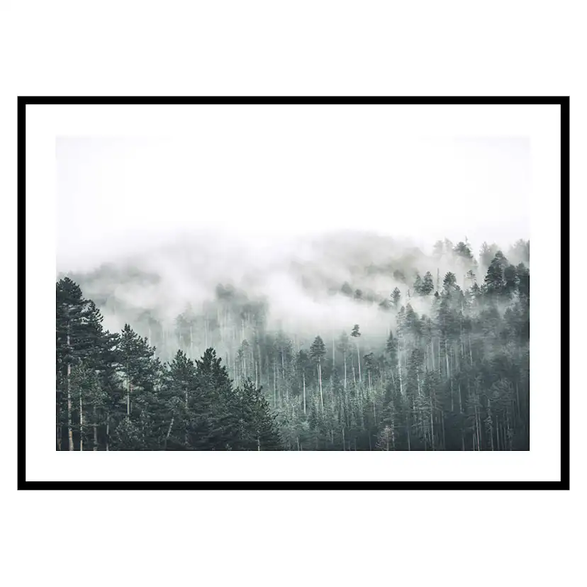 Poster Gallerix Forest Valley