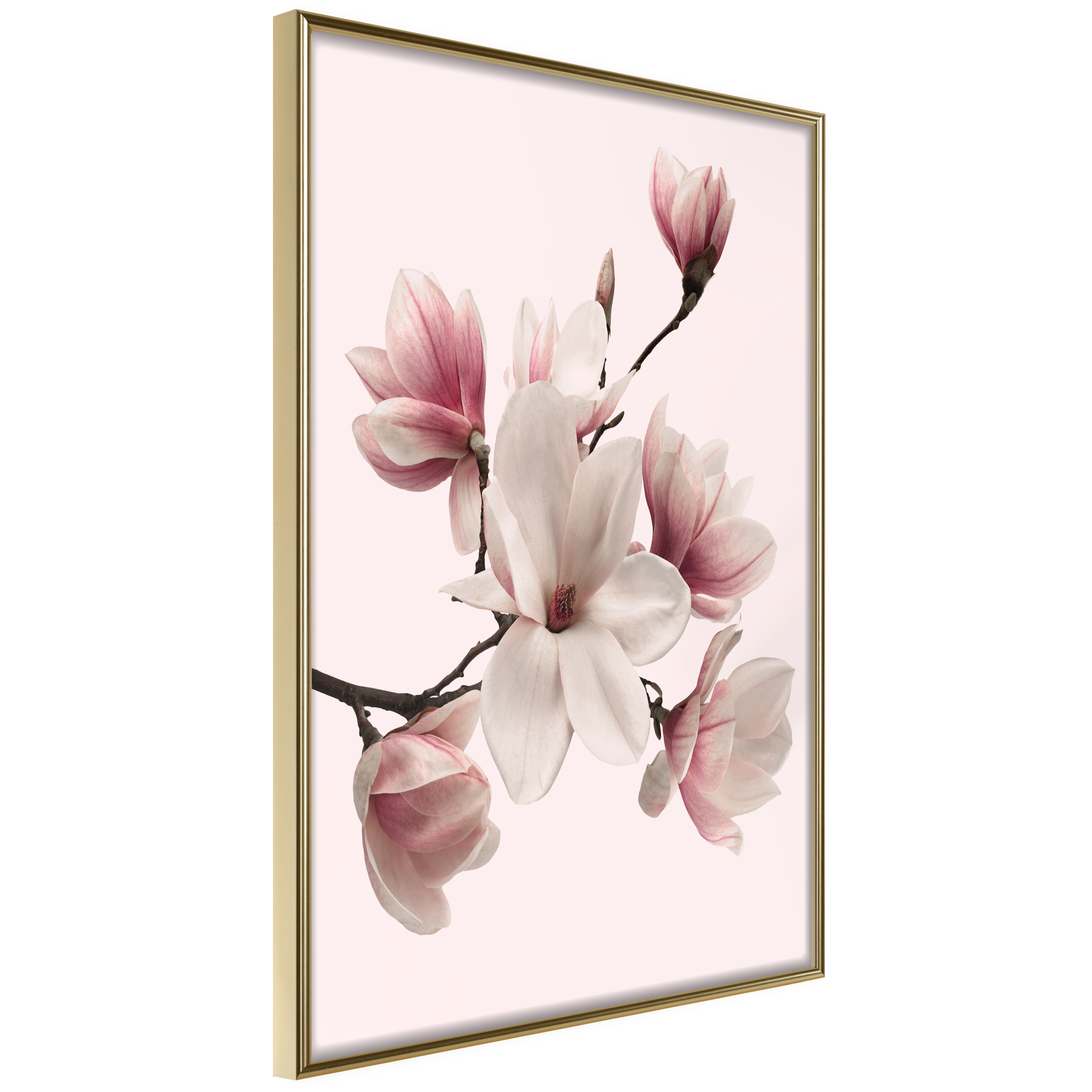 Affisch - Delicate Magnolias [Poster] 40x60 Guld ram, 40x60 cm