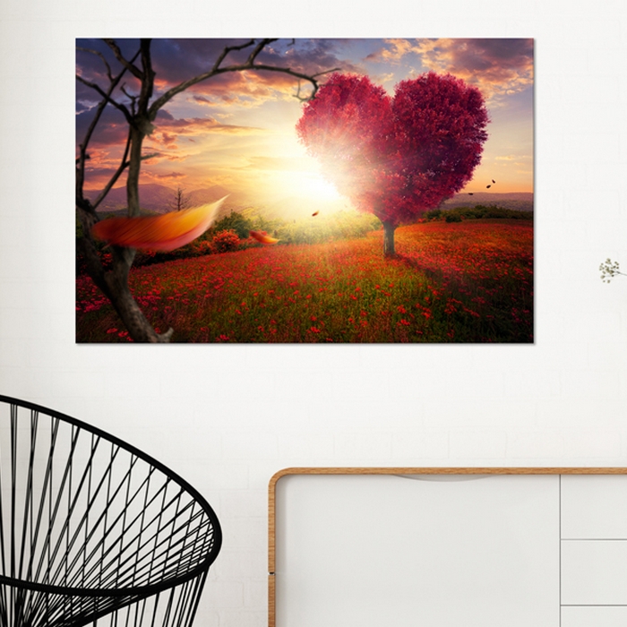 Tavla Arkiio Land Of Love