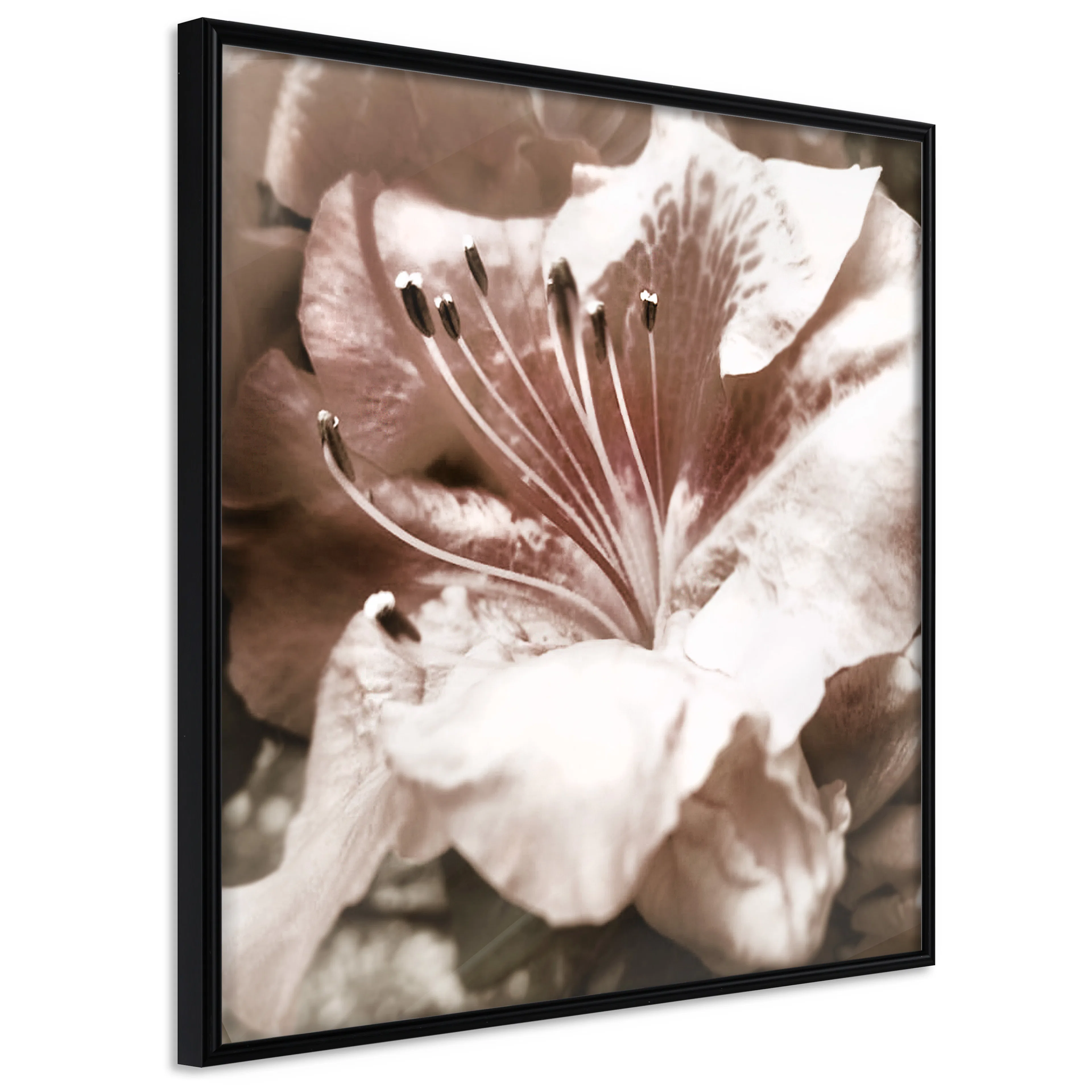 Affisch - Prayer [Poster] 20x20 Svart ram, 20x20 cm