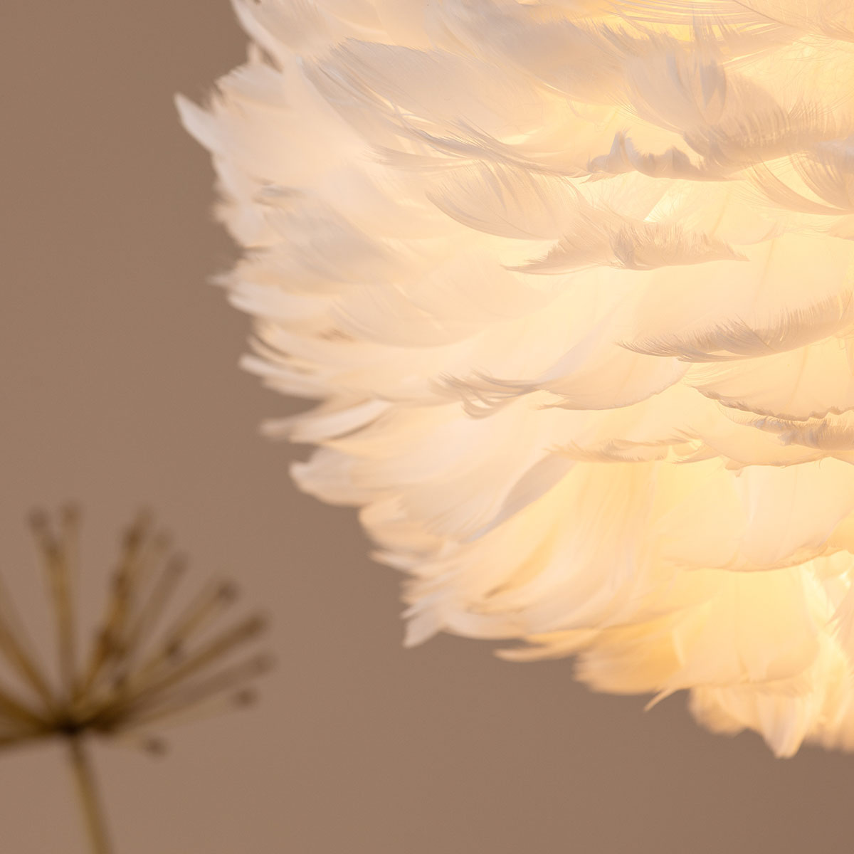 Nicola - Small Pendant Lamp - White / White artificial feath Vit