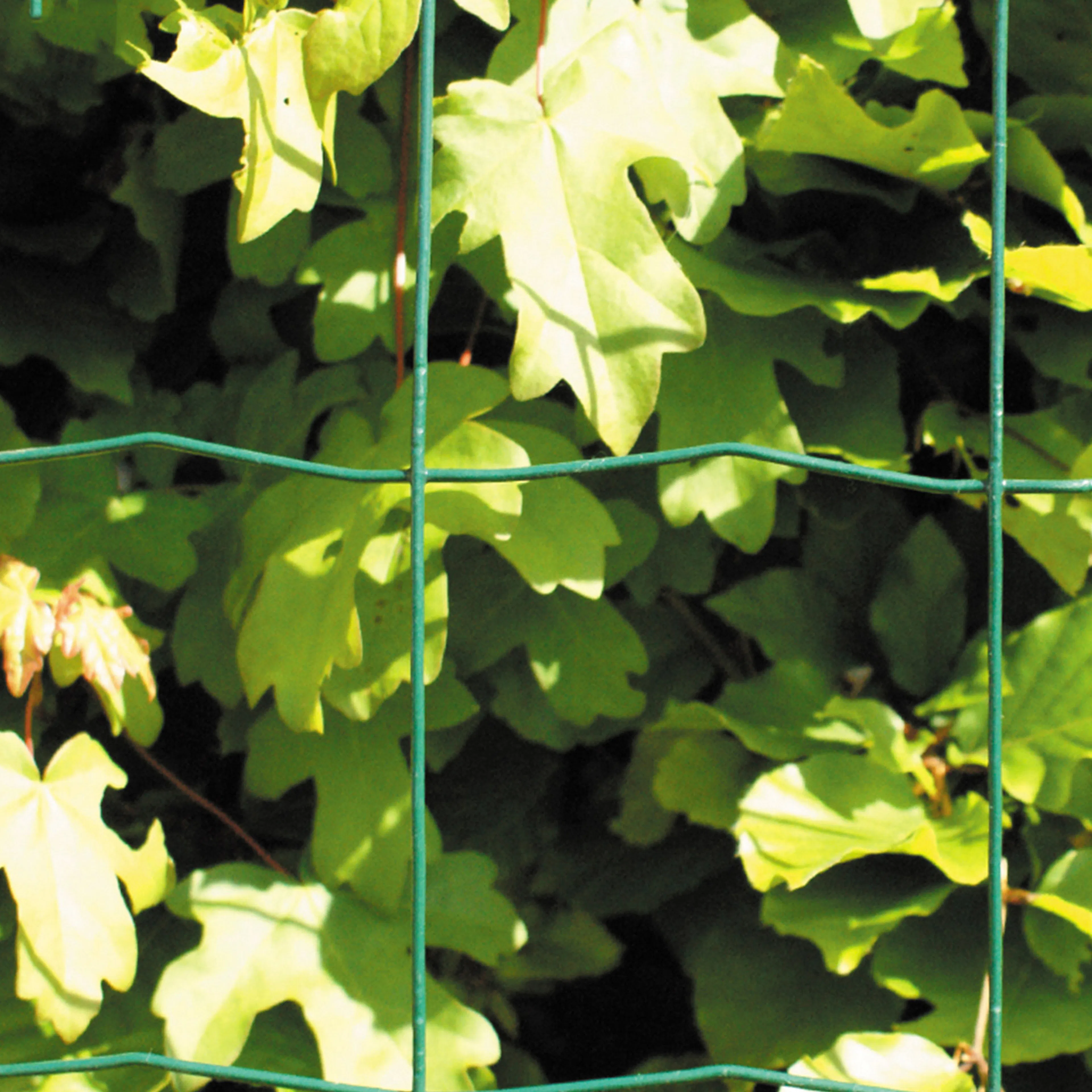 Stängsel Hortus 50x100 mm 10 m