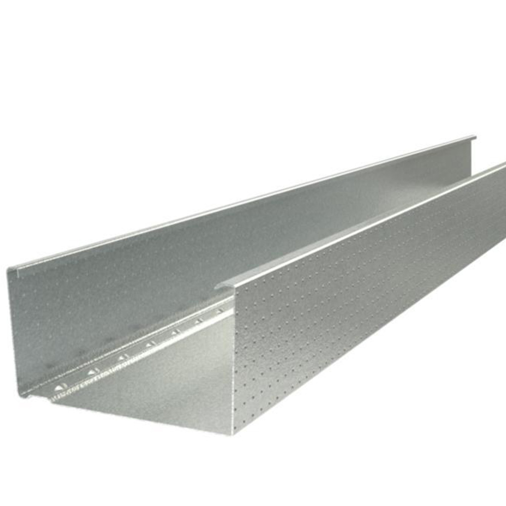 Plusregel Europrofil C+145 2985 mm