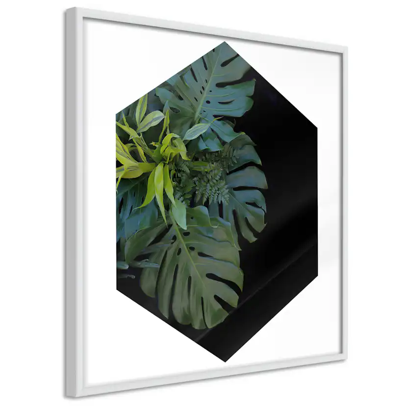 Poster Artgeist Affisch Plant Hexagon