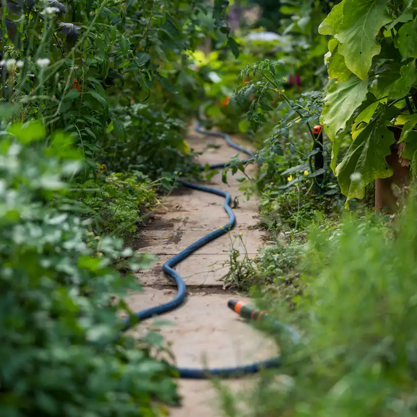 Textilslang Liano™ Xtreme 20 m Set med strålmunstycke