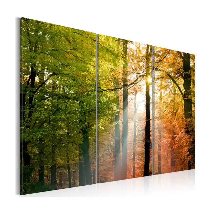 Tavla Arkiio A Calm Autumn Forest