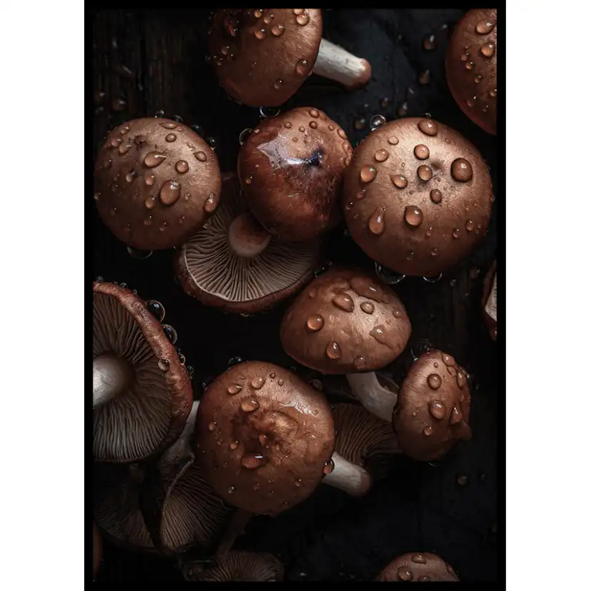 Poster Gallerix Mushrooms No2