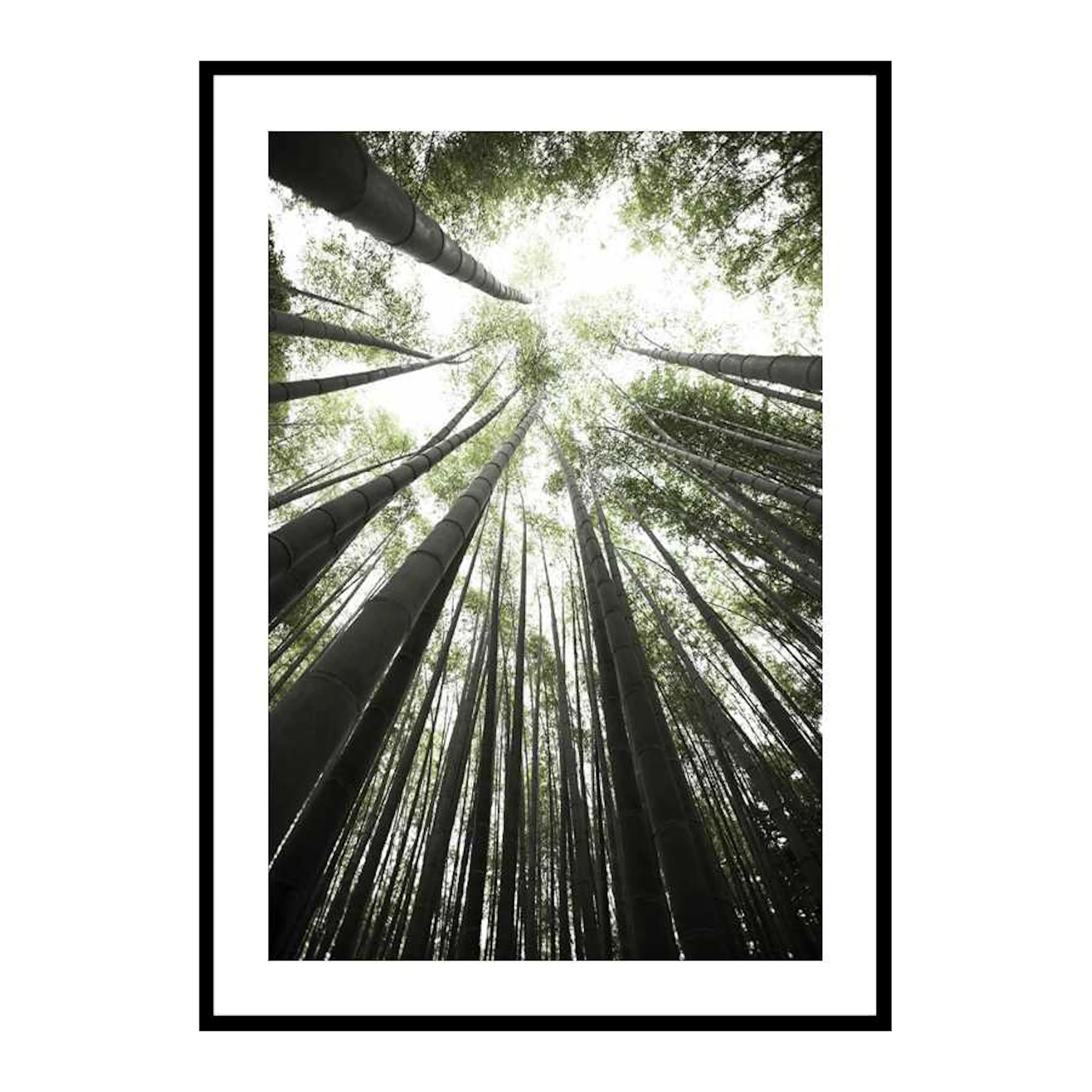 Poster Gallerix Bamboo Forest