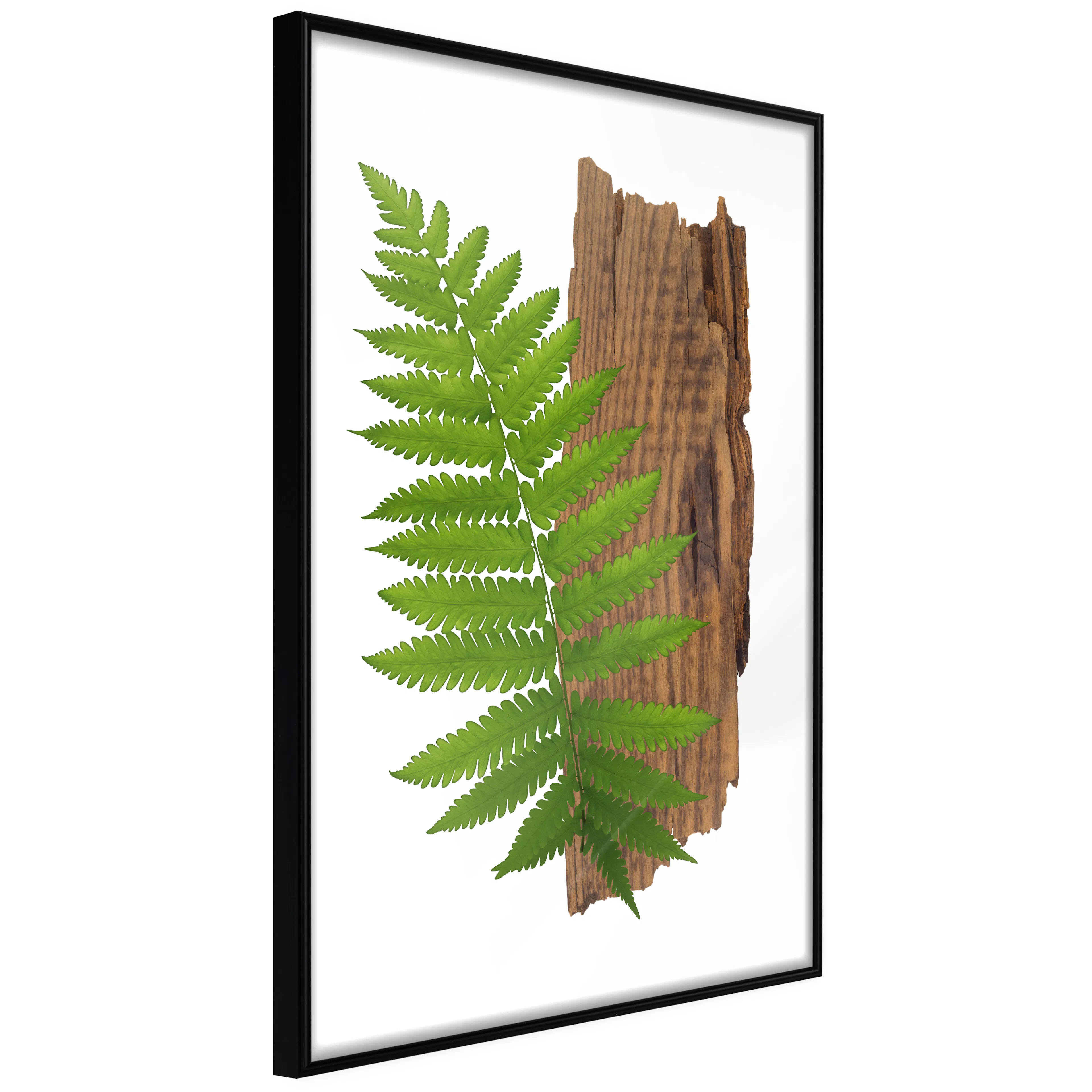 Affisch - Firmness of Nature [Poster] 40x60 Svart ram, 40x60 cm