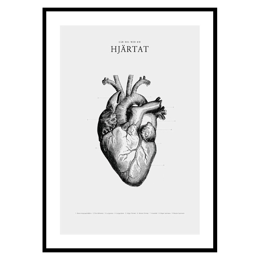 Poster Gallerix Hjärtat