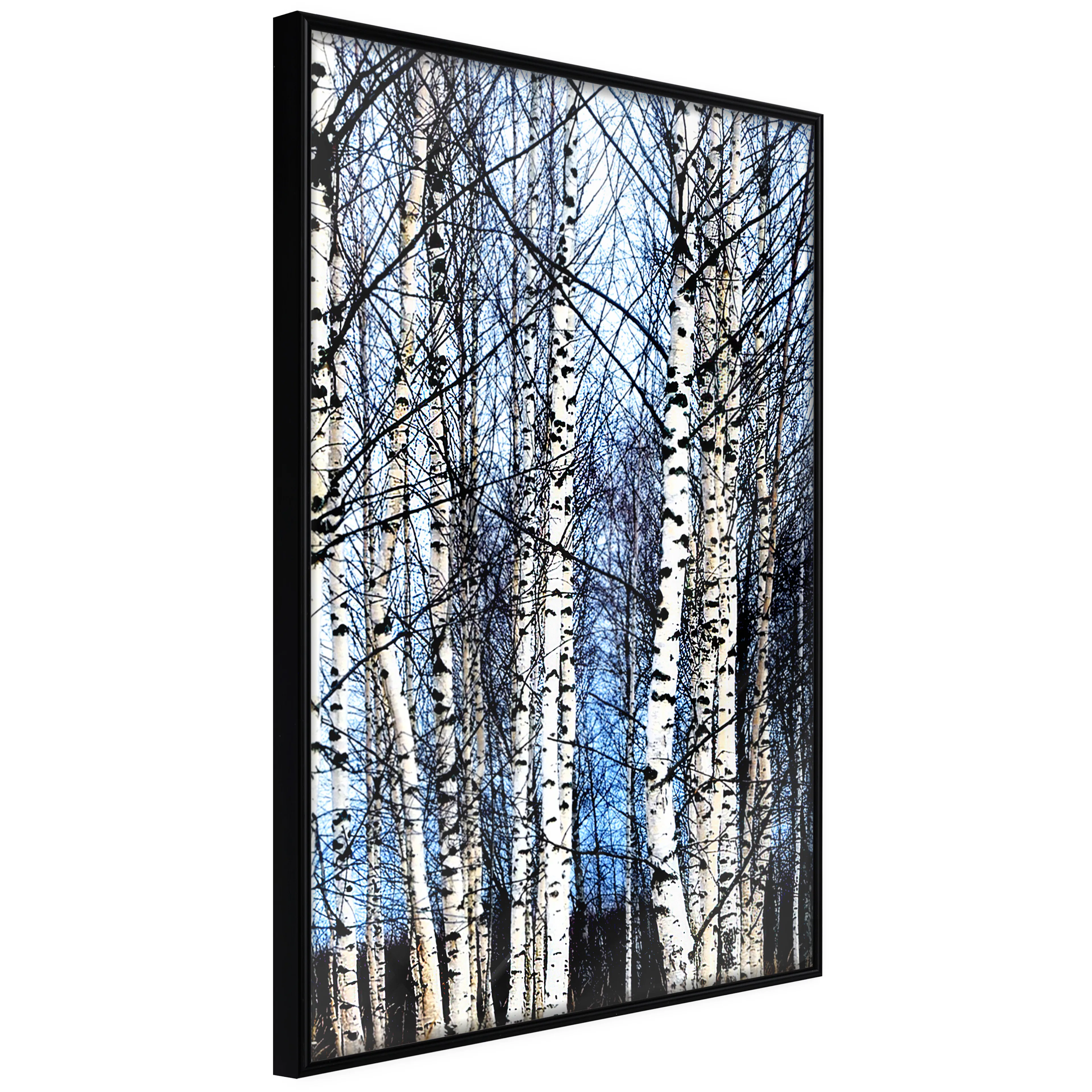 Affisch - Frosty January [Poster] 40x60 Svart ram, 40x60 cm