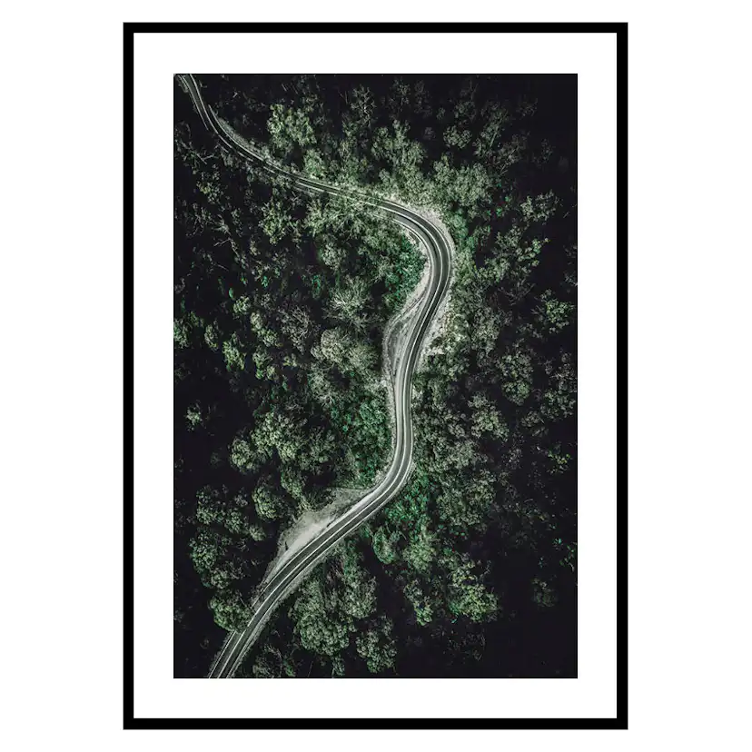 Poster Gallerix Forest Road