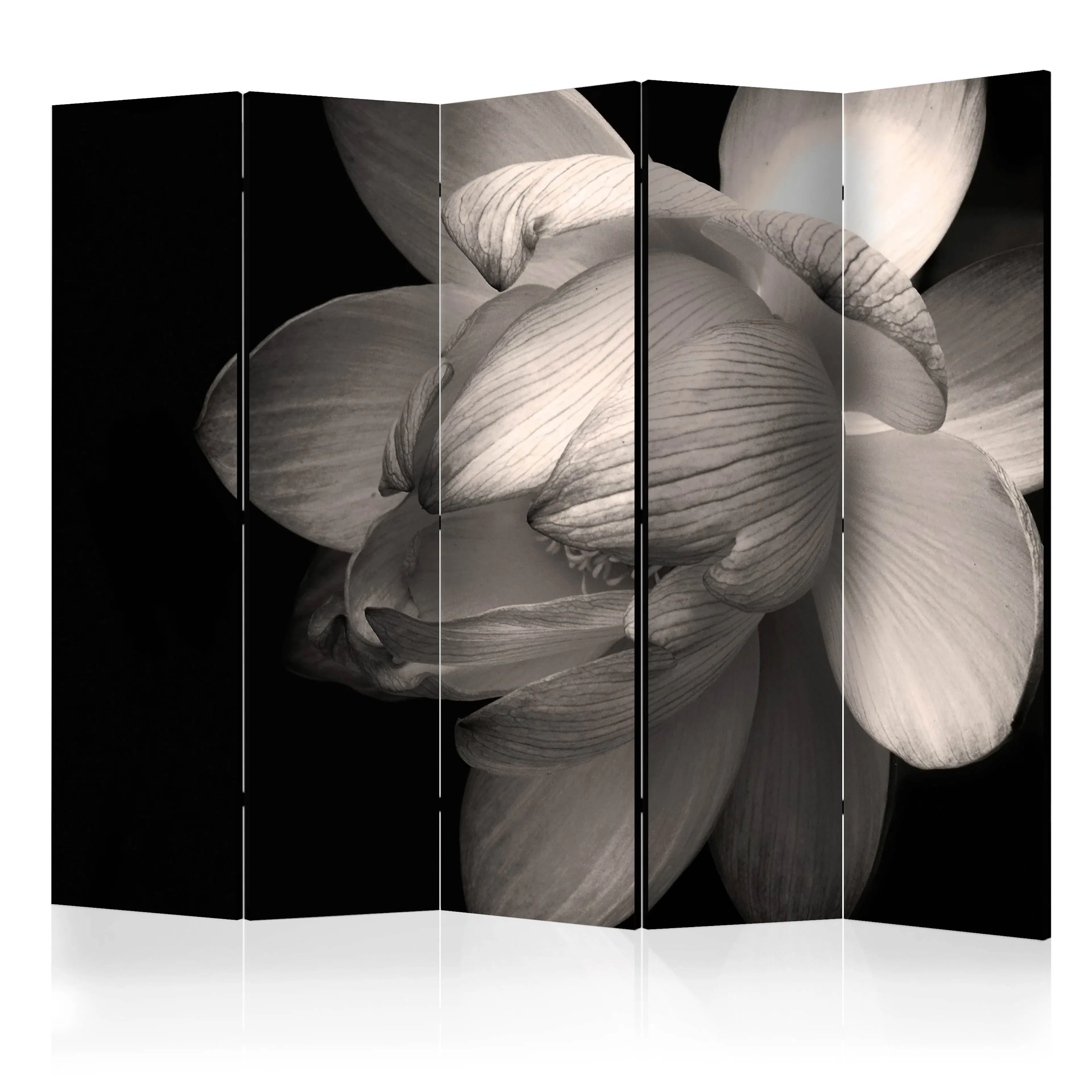 Rumsavdelare Arkiio Lotus Flower II 225x172 cm