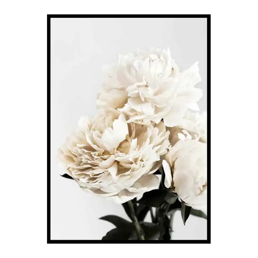 Poster Gallerix Peonies Closeup