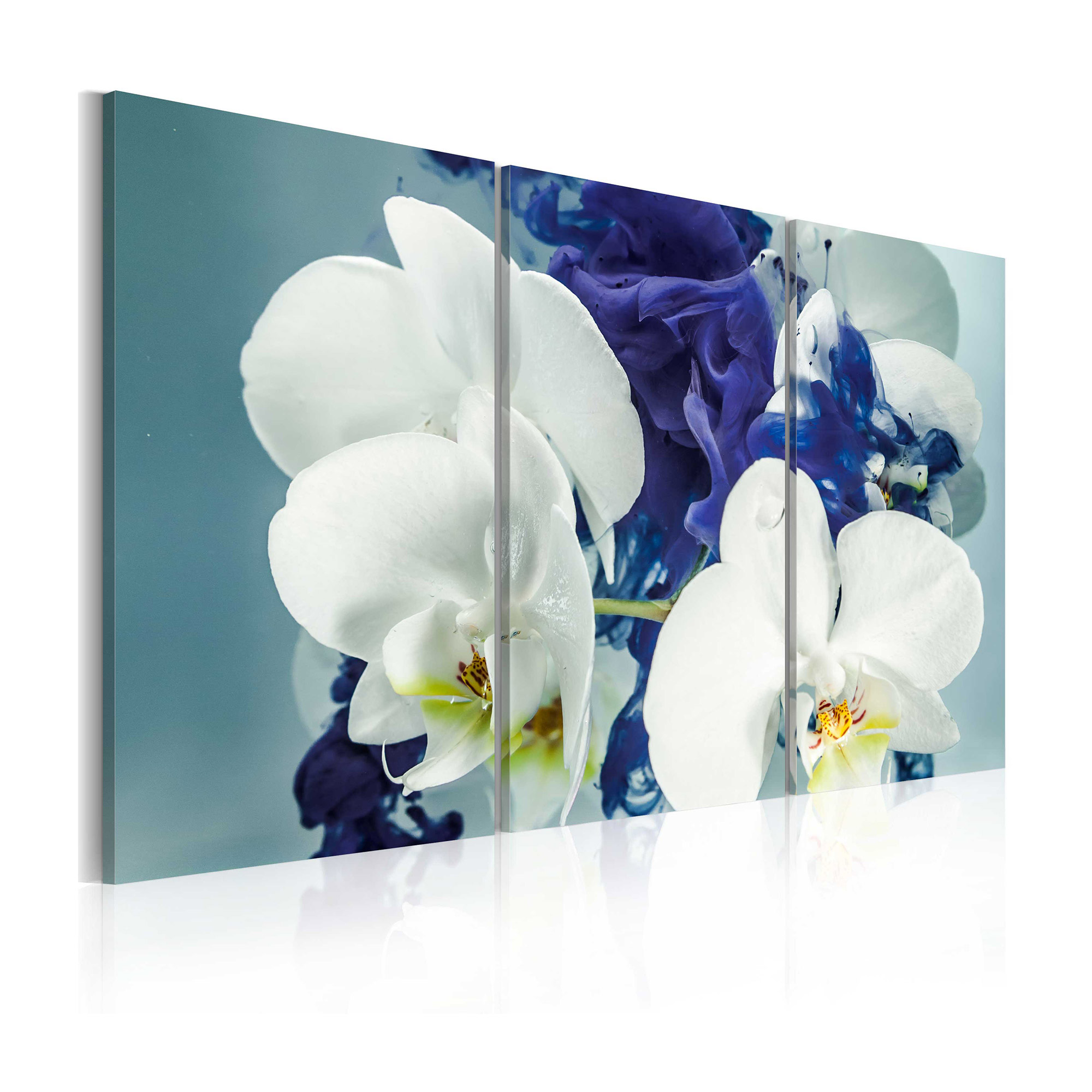 Tavla Arkiio Chimär Orkidéer