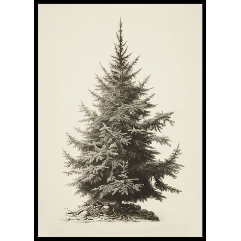 Poster Gallerix Vintage Fir Tree