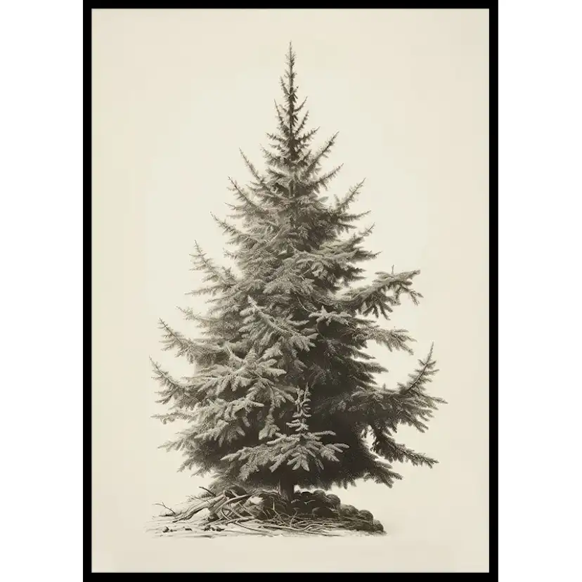 Poster Gallerix Vintage Fir Tree