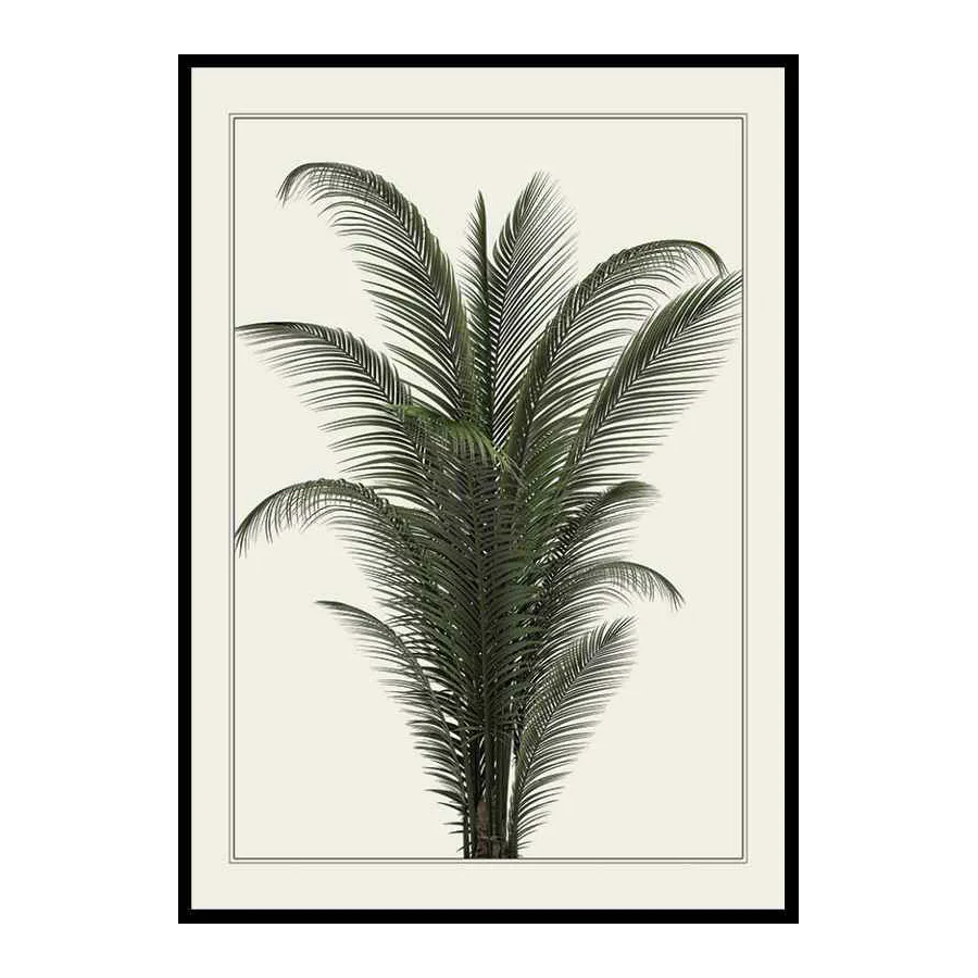 Poster Gallerix Palm Tree