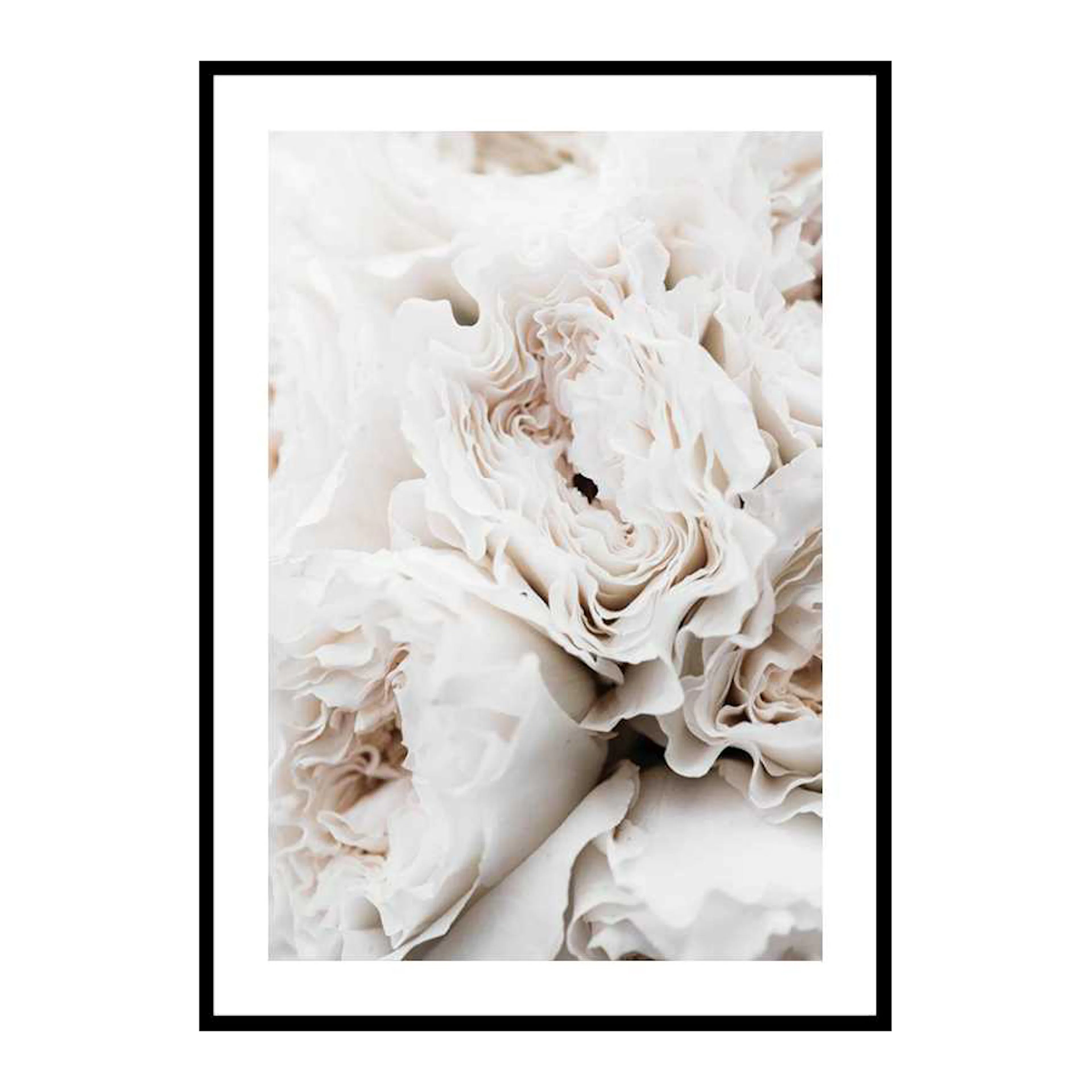 Blossoming Roses 30x40 cm