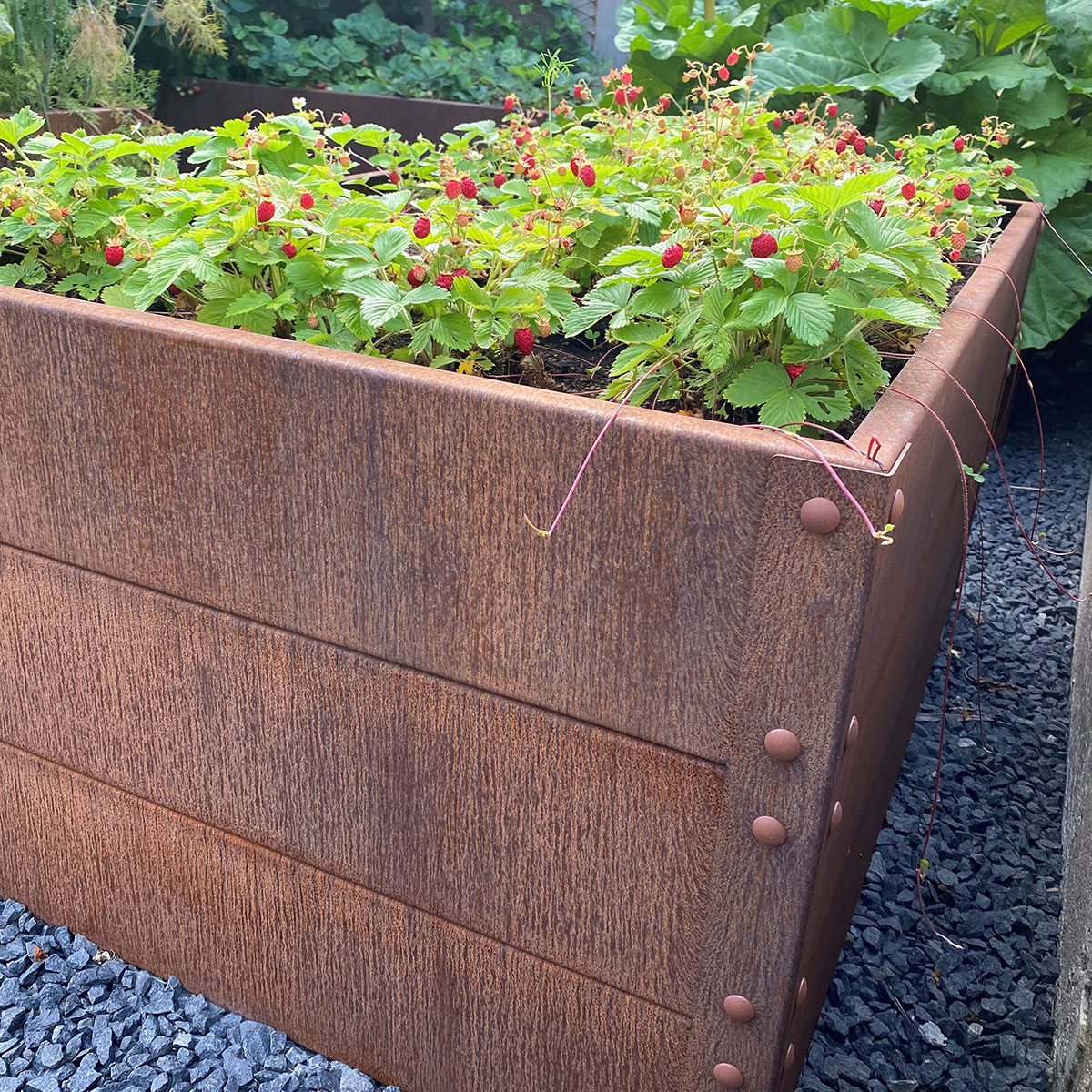 Odlingslåda Flexigarden Cortenplåt 2 mm 800x1200x600 mm