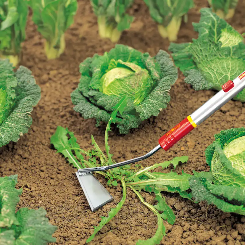 Skyffeljärn WOLF-Garten SH-M Multi-Star