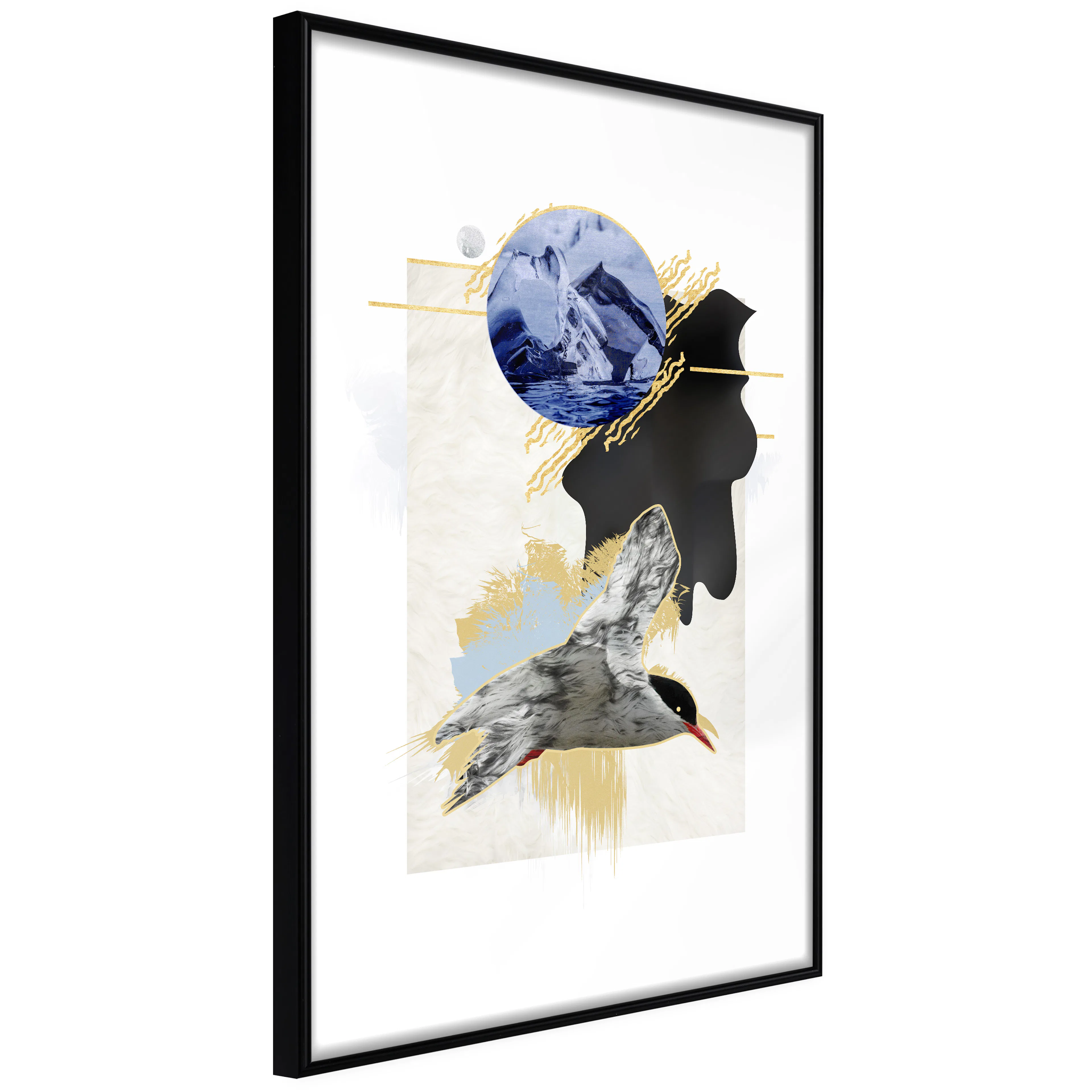 Affisch - Antarctic Tern [Poster] 40x60 Svart ram, 40x60 cm
