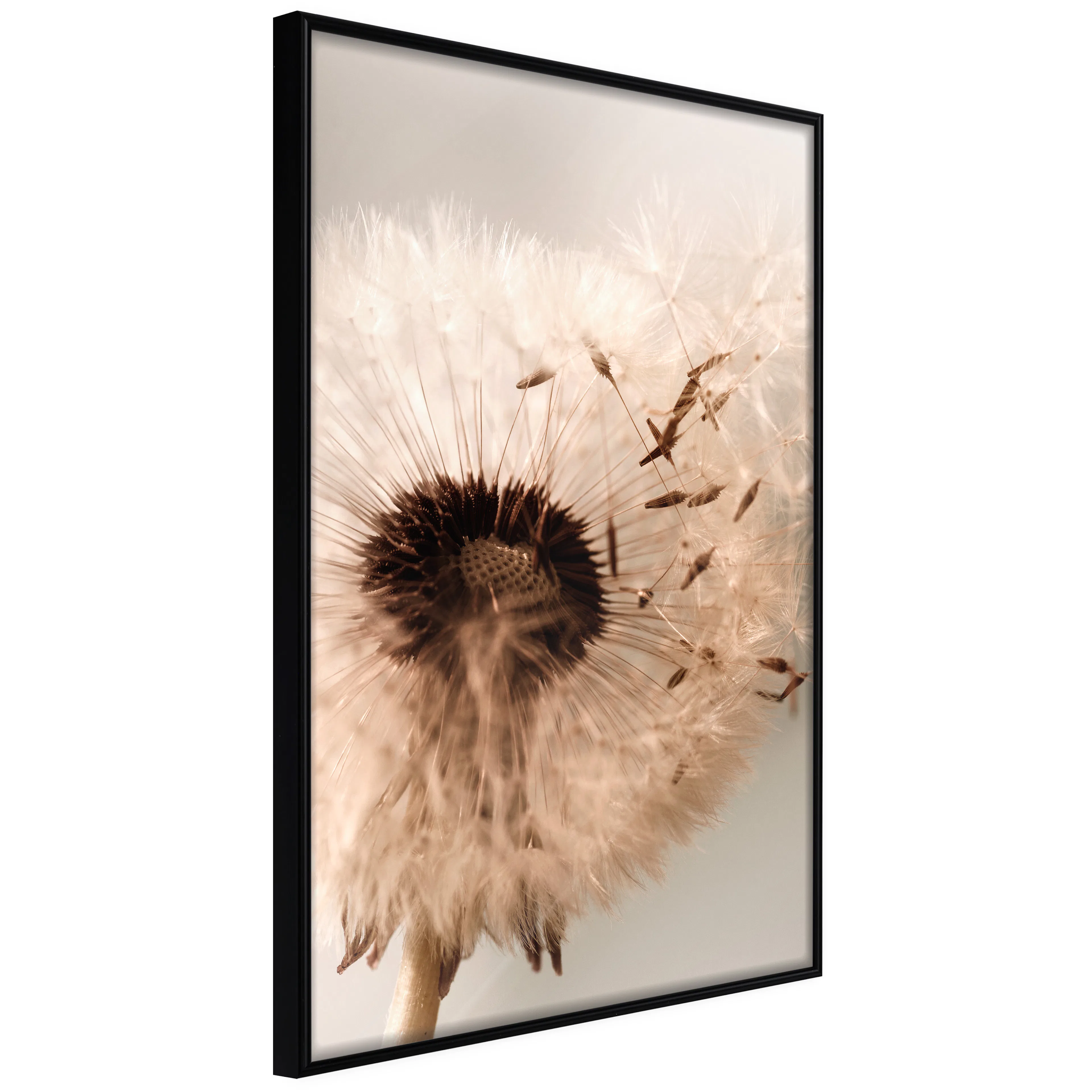 Affisch - Summer Blast [Poster] 40x60 Svart ram, 40x60 cm