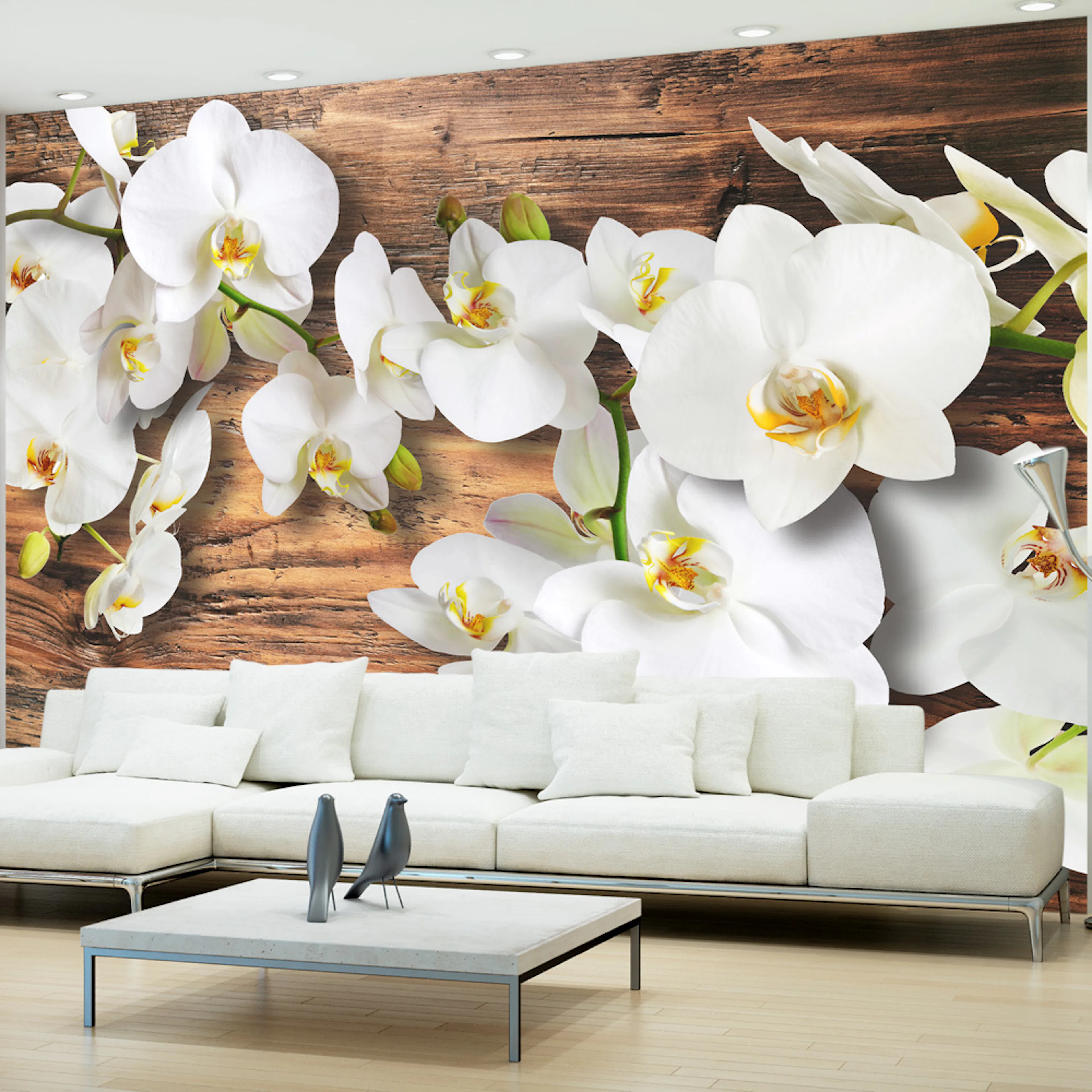 Fototapet Arkiio Forest Orchid