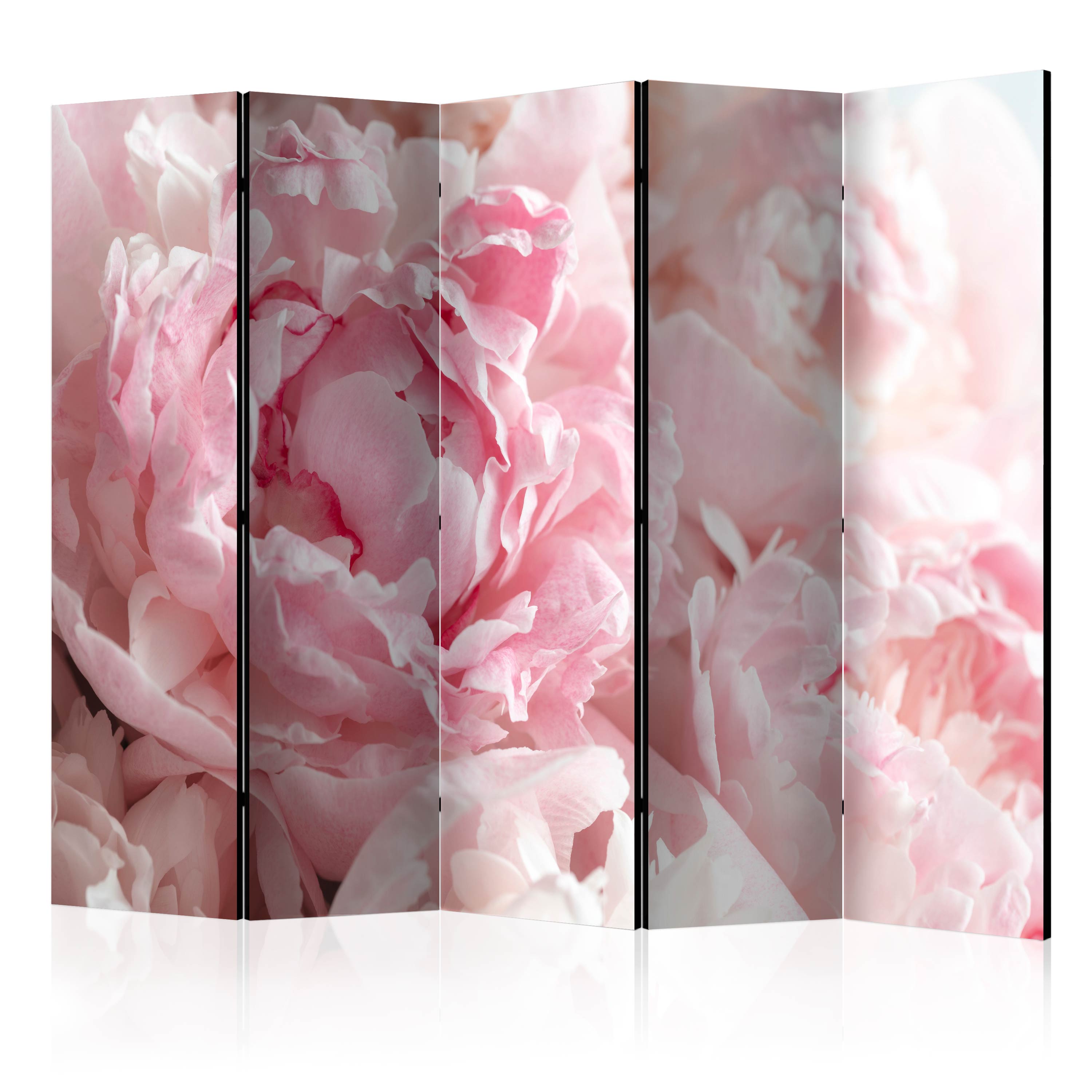 Rumsavdelare Arkiio Sweet Peonies II 225x172 cm