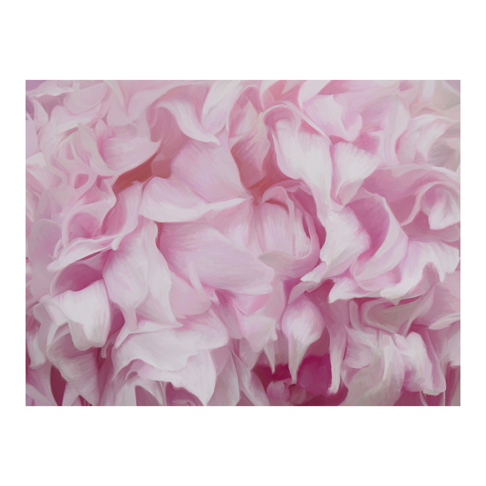 Fototapet Arkiio Azalea Pink