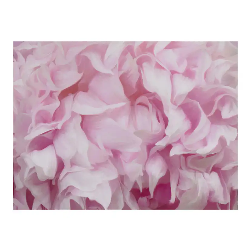 Fototapet Arkiio Azalea Pink