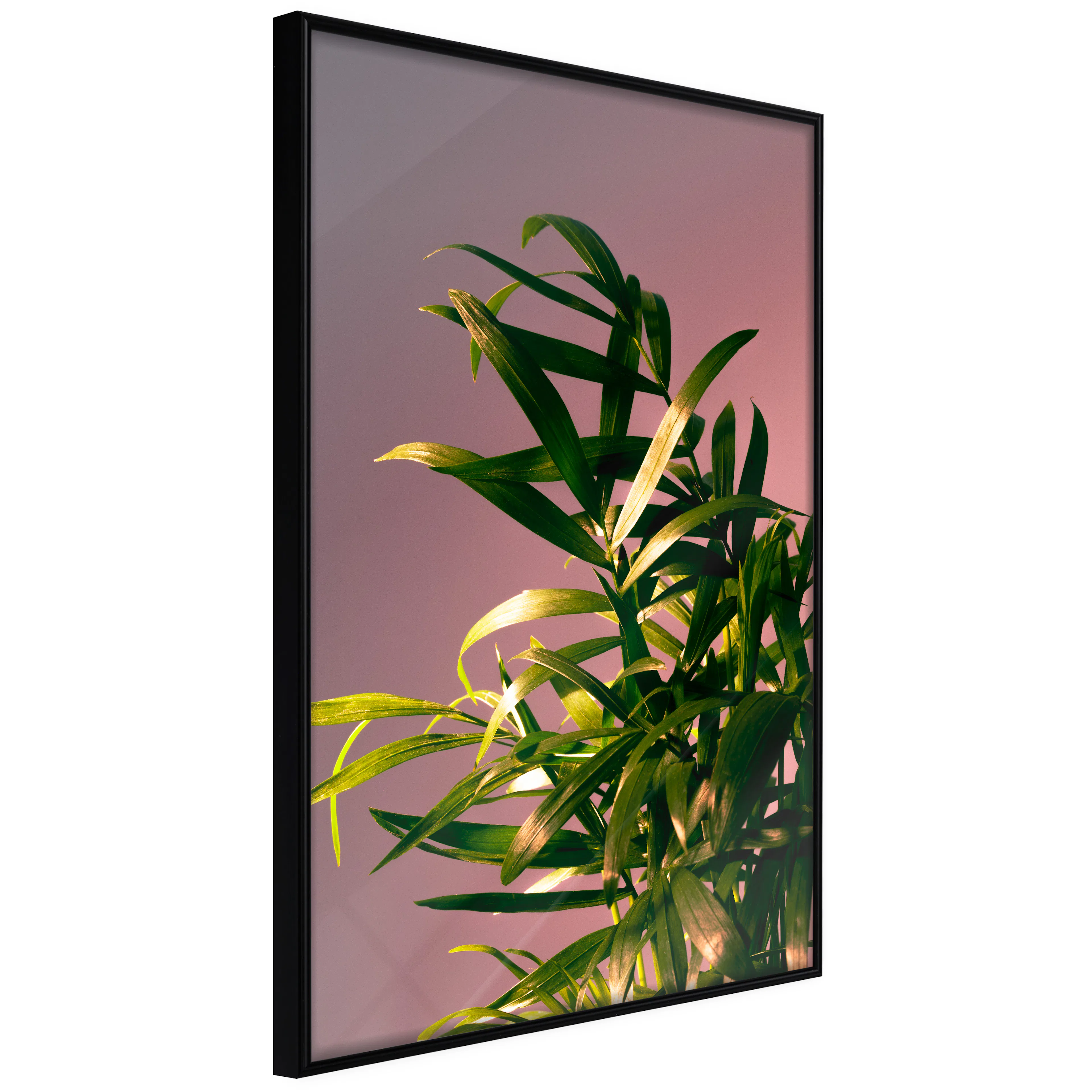 Affisch - Botanical Detail [Poster] 40x60 Svart ram, 40x60 cm