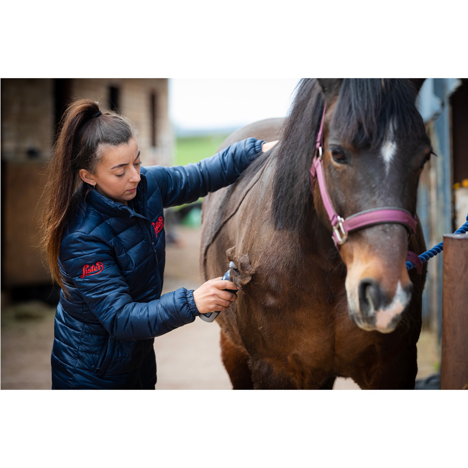 Hästklippmaskin Eclipse
