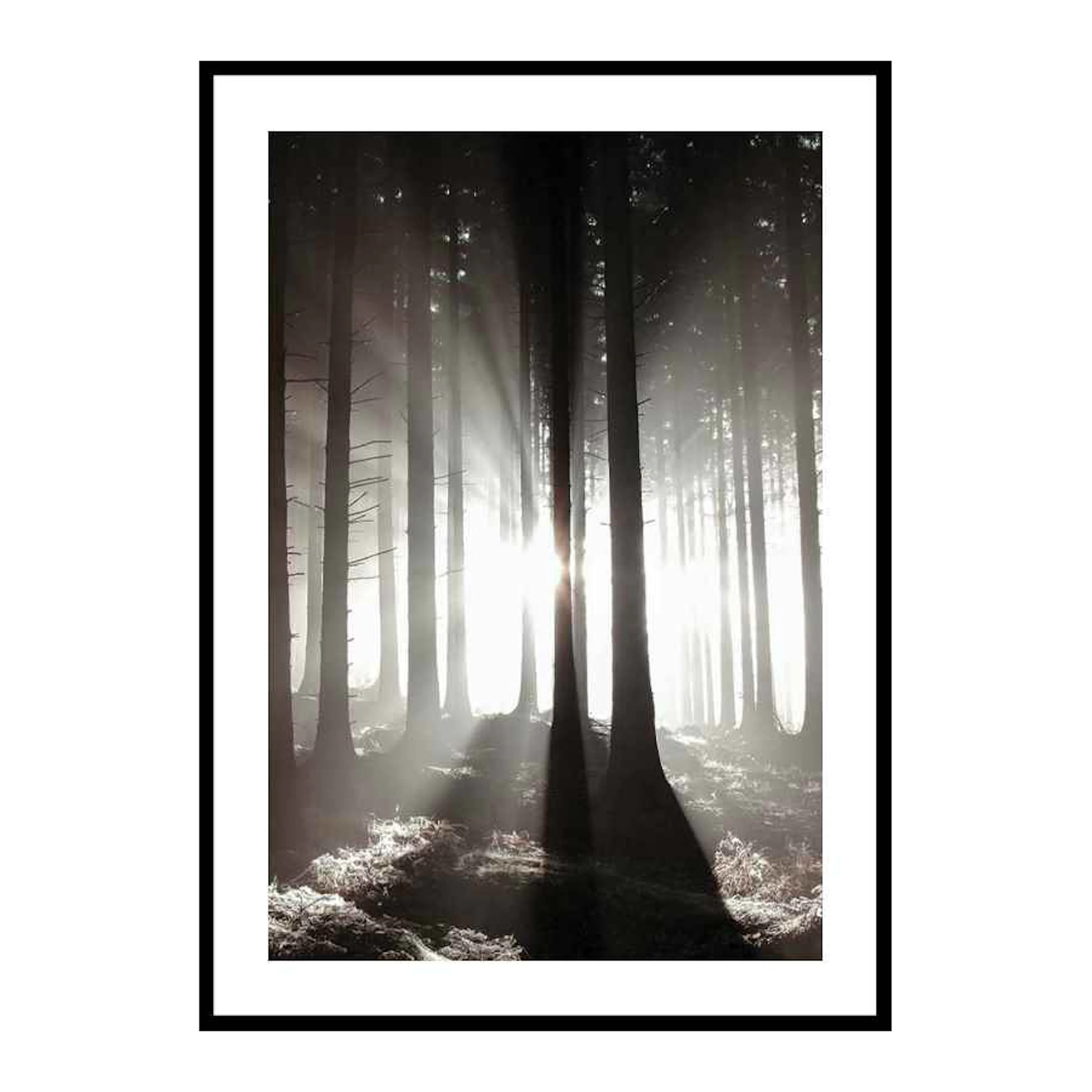 Misty Autumn Morning 30x40 cm