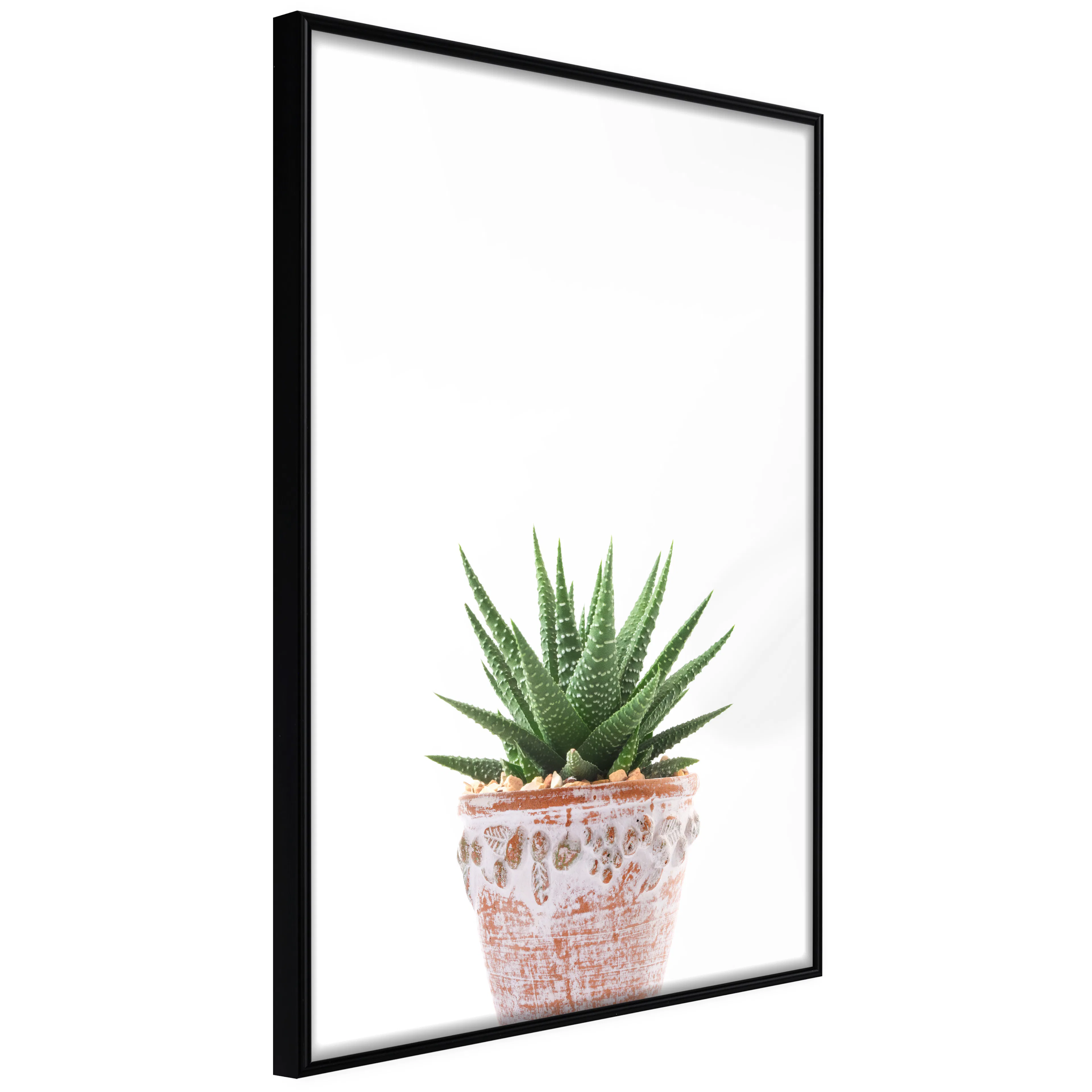 Affisch - Succulents In Pot [Poster] 40x60 Svart ram, 40x60 cm