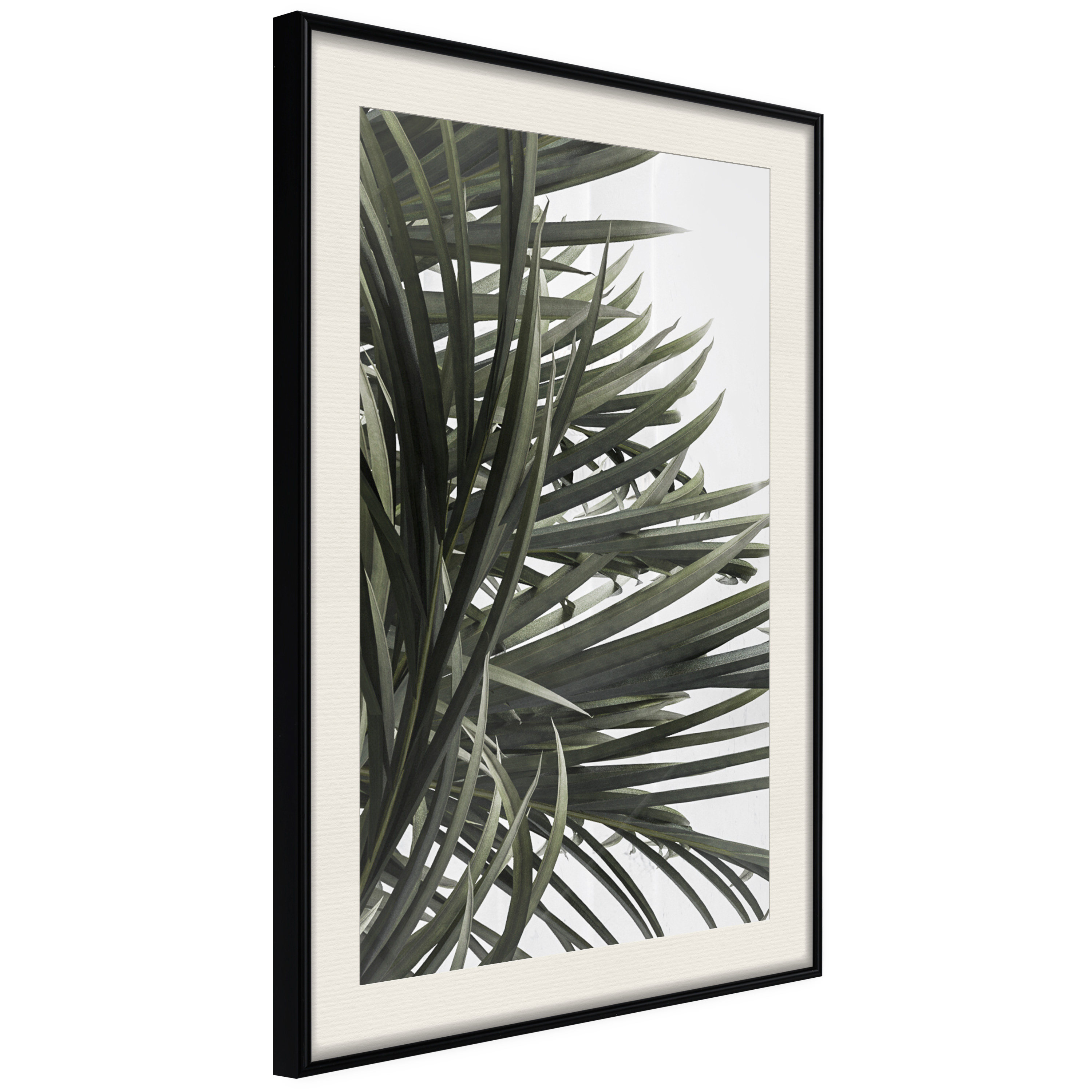 Affisch - In the Shade of Palm Trees [Poster] 40x60 Svart ram med passepartout, 40x60 cm