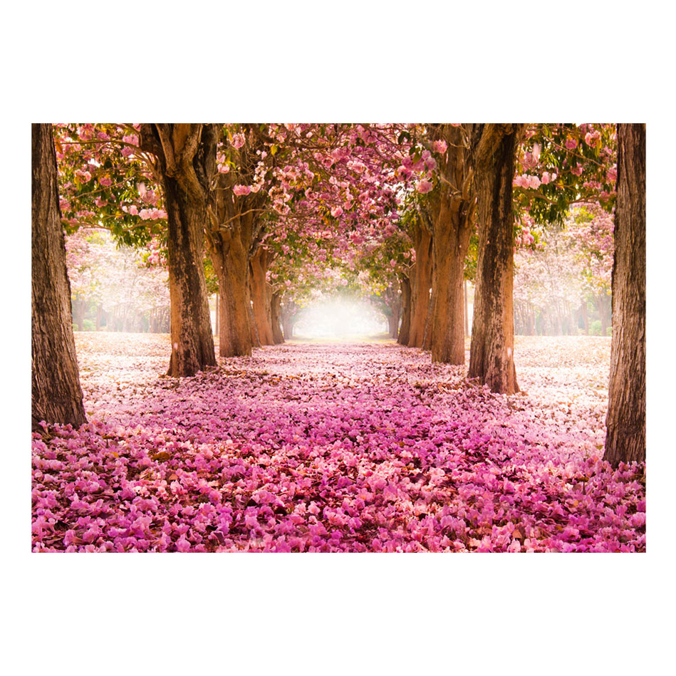 Fototapet Arkiio Pink Grove