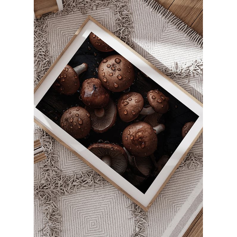 Poster Gallerix Mushrooms No2