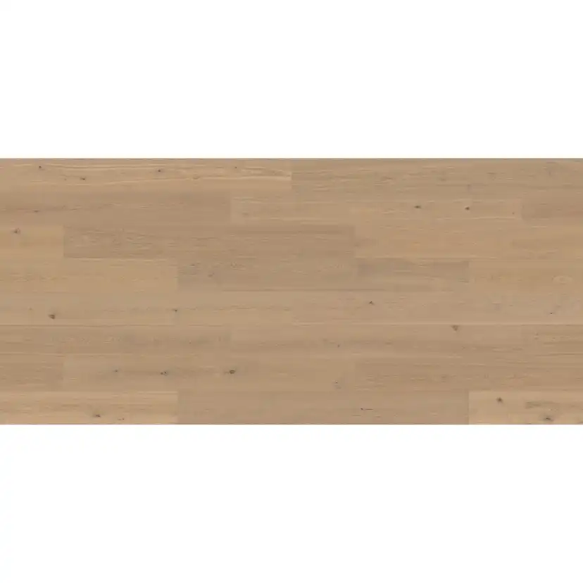 HASSLARP 3.0 XXL