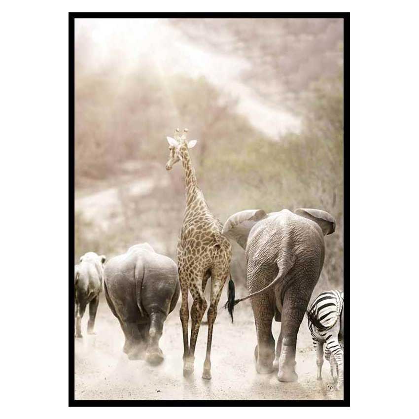 Poster Gallerix Wild African Animals