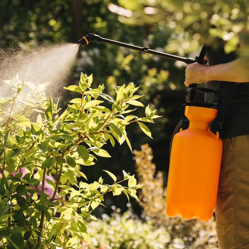 Tryckspruta Fiskars med Bärrem 5L