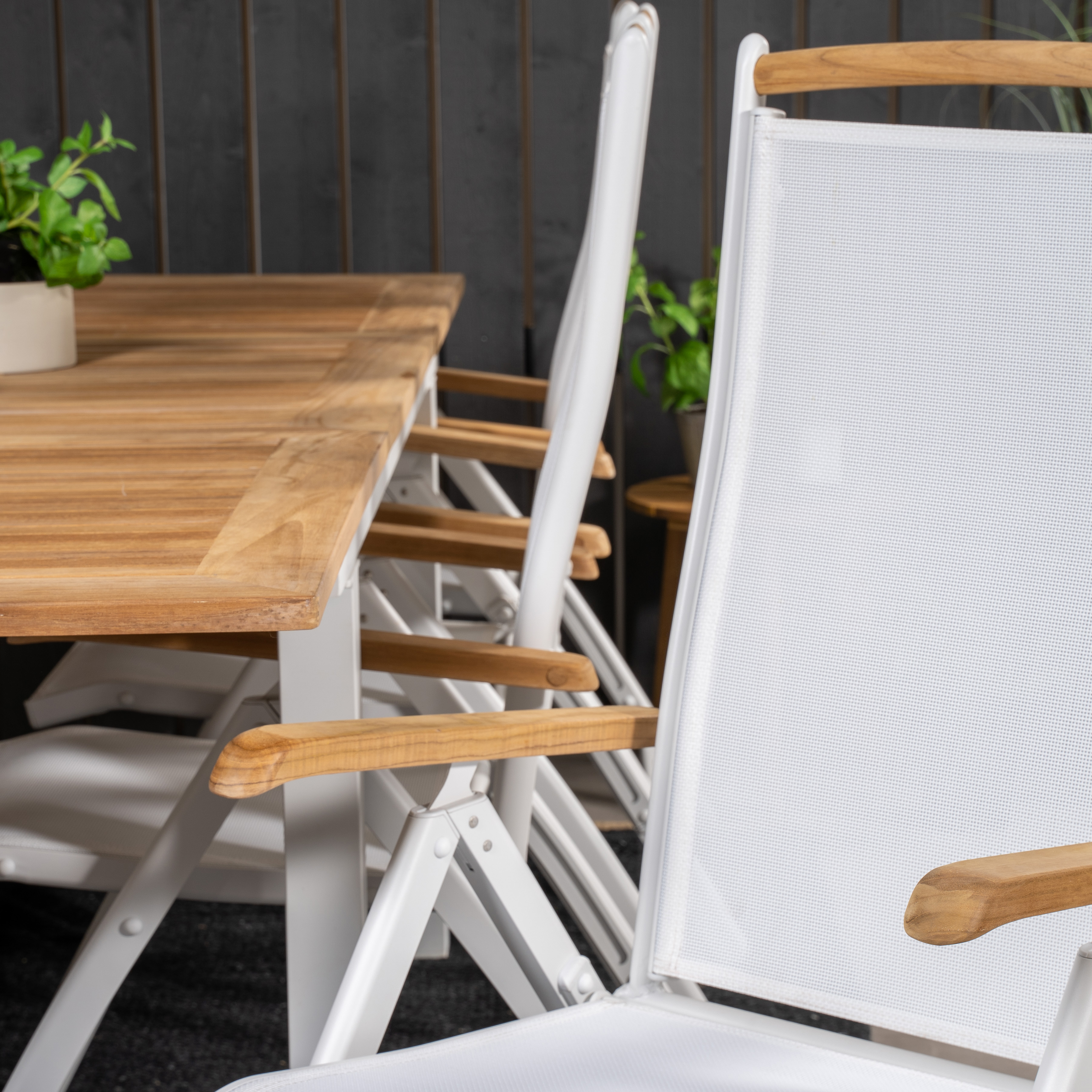 Panama Bord160/240*90-vit/Teak+Panama stol5:pos-vit/vitTeak8 Teak Bord med Vita Ben, Vit Stol
