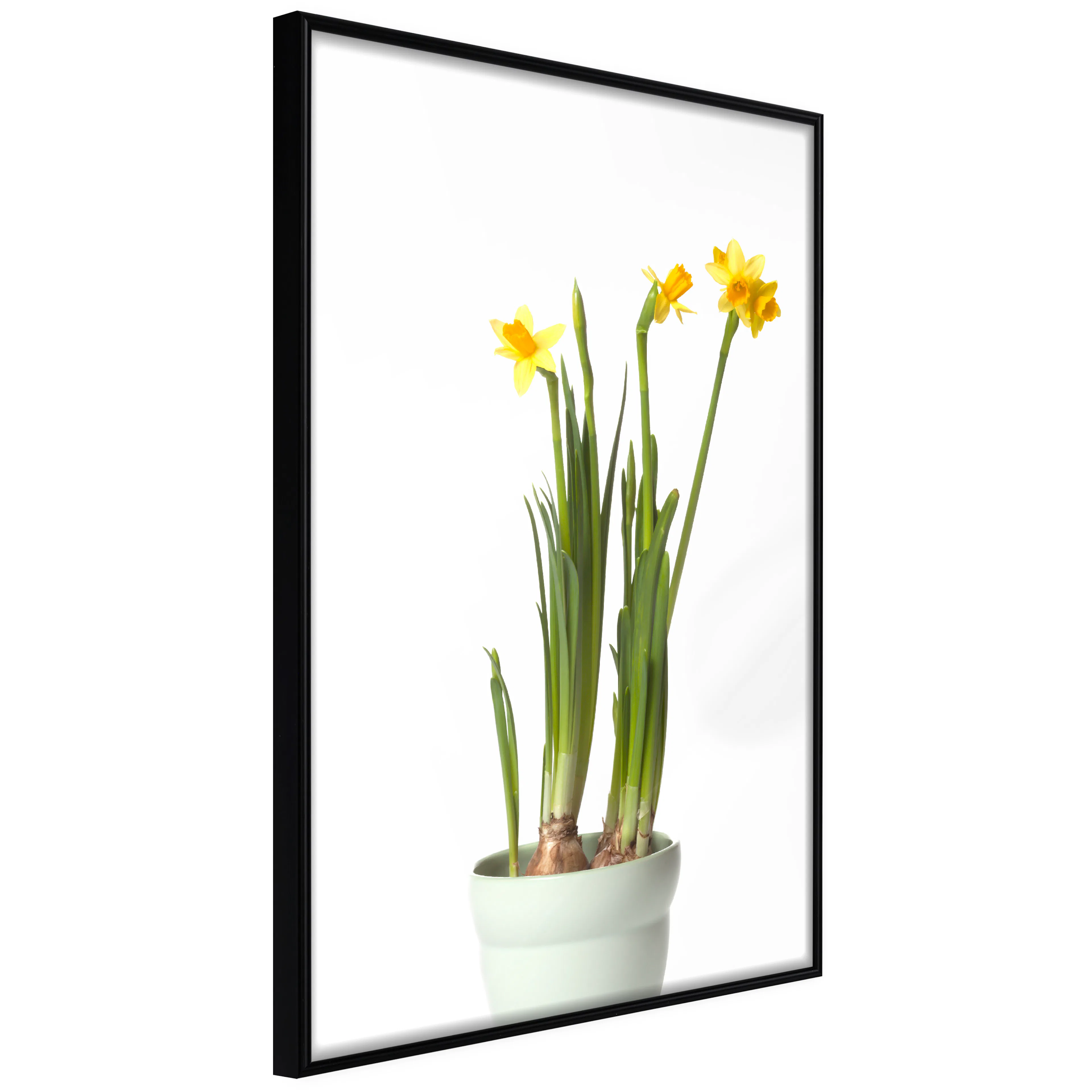 Affisch - Narcissus [Poster] 40x60 Svart ram, 40x60 cm
