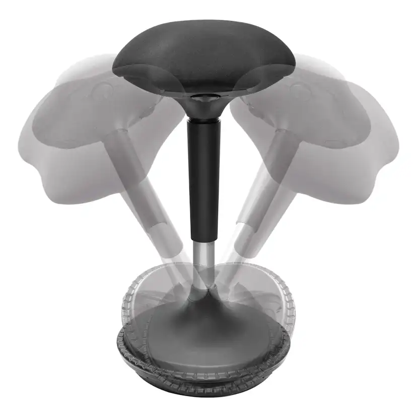 Balanspall LogiLink Ergonomisk