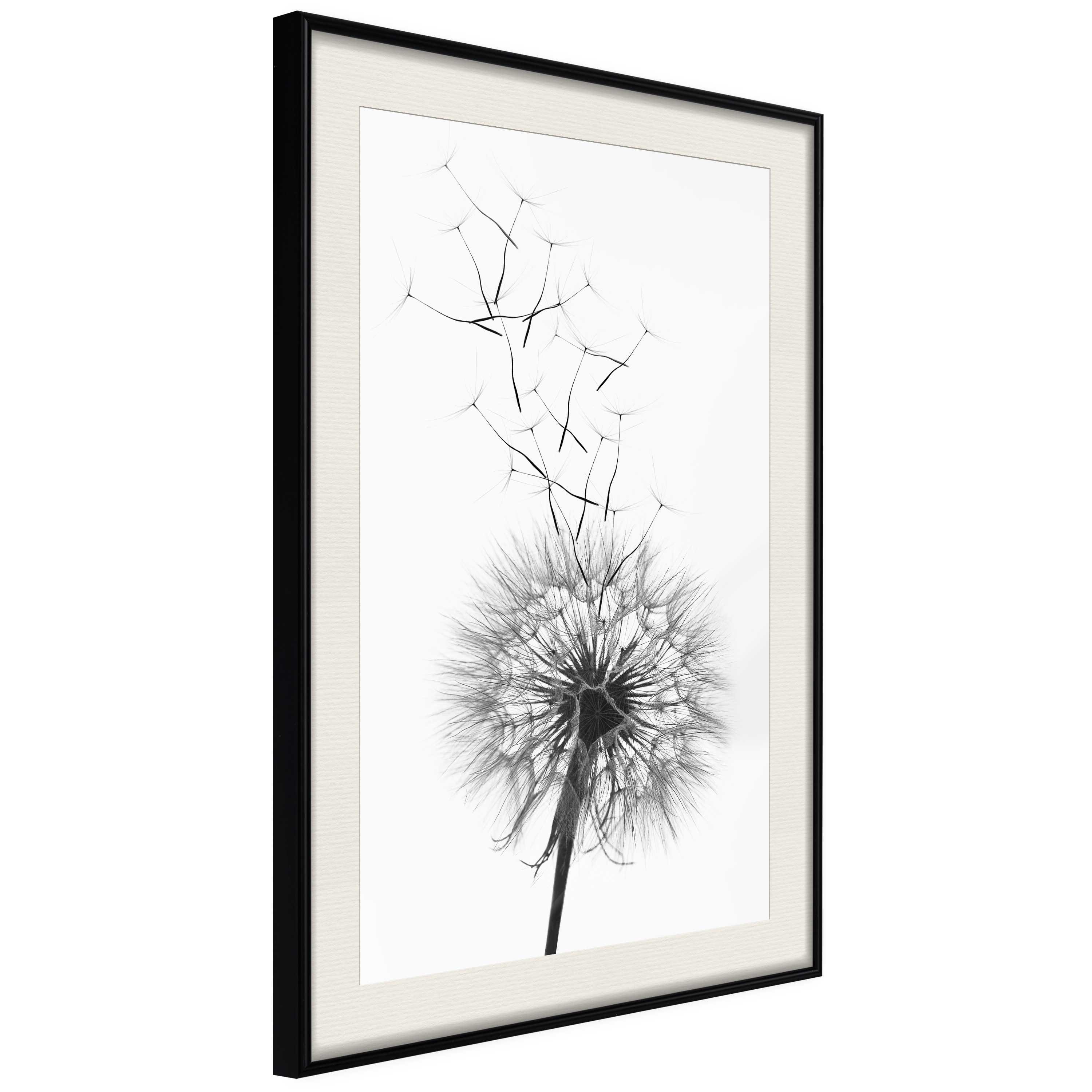 Affisch - Dandelion [Poster] 40x60 Svart ram med passepartout, 40x60 cm