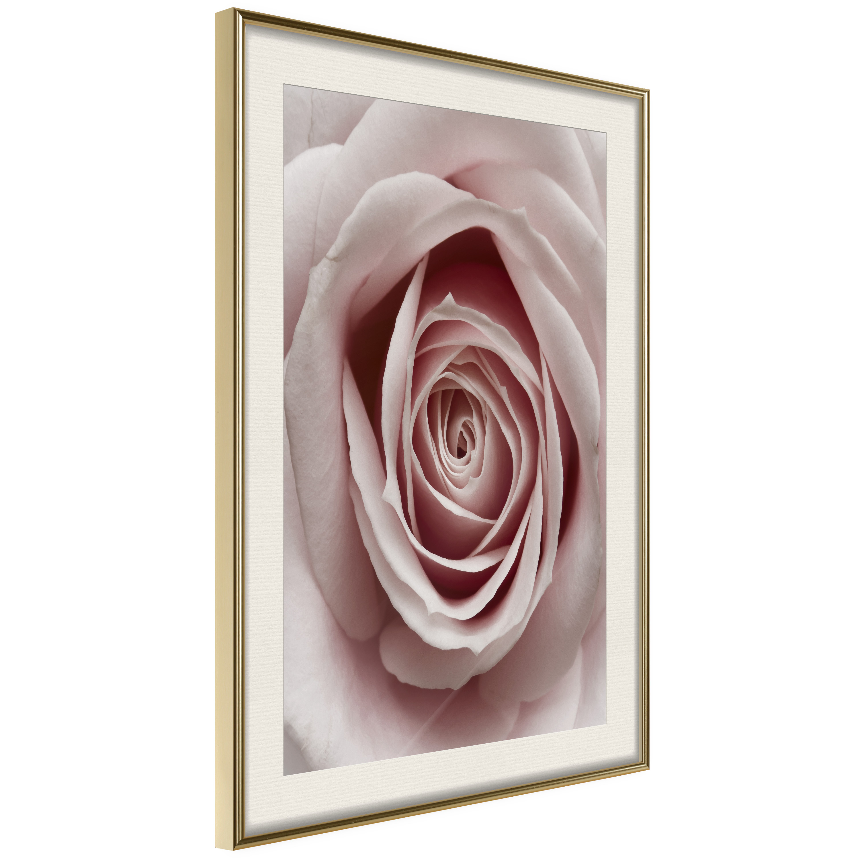Affisch - Pastel Rose [Poster] 30x45 Guld ram med passepartout, 30x45 cm