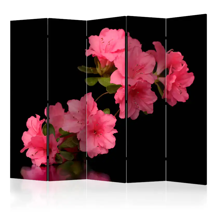 Rumsavdelare Arkiio Azalea in Black II 225x172 cm